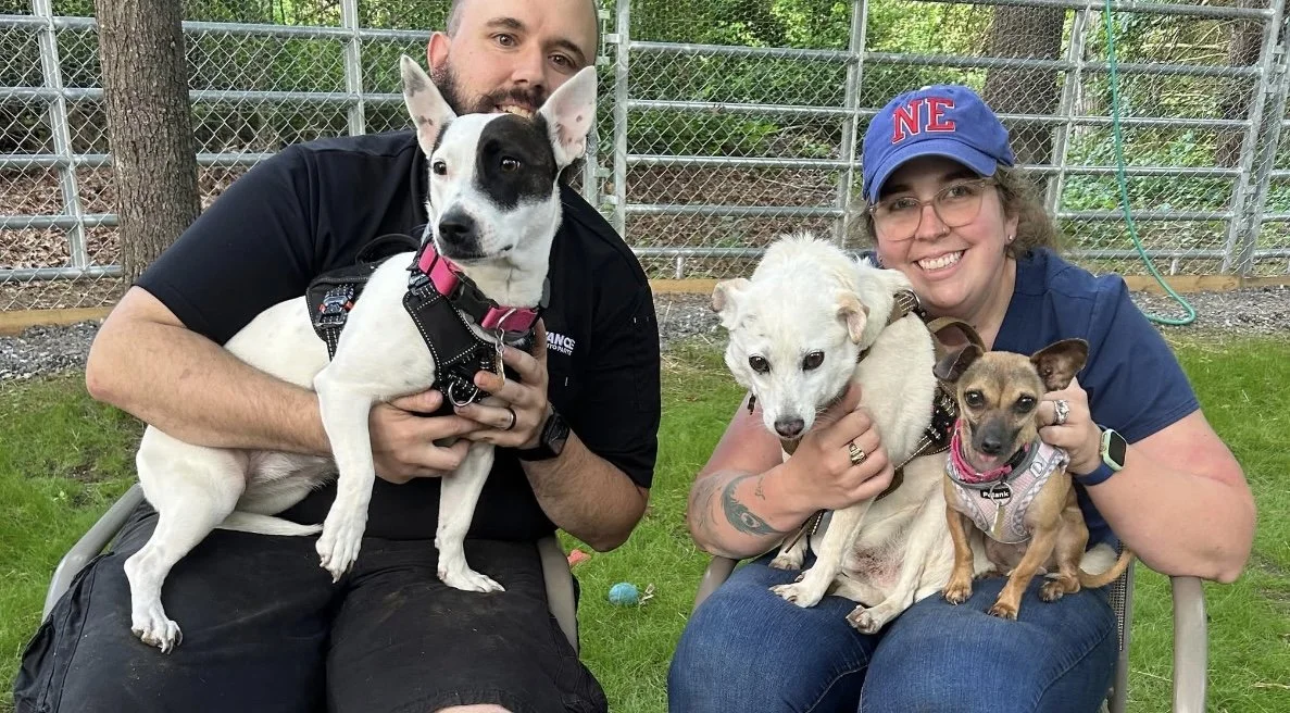 Two people sitting outdoors on green grass with four dogs, fences and trees in the background. The man on the left holds a black and white dog, and the woman on the right holds a white dog and a small brown dog.