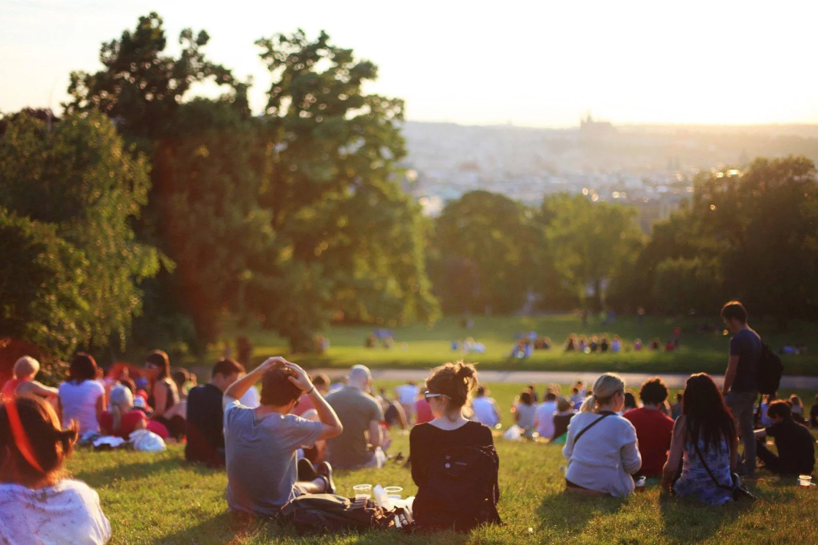 People sitting on grass in a park during sunset, with trees and a cityscape in the background.