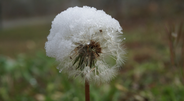 Screenshot 2025-08-01 121343.png