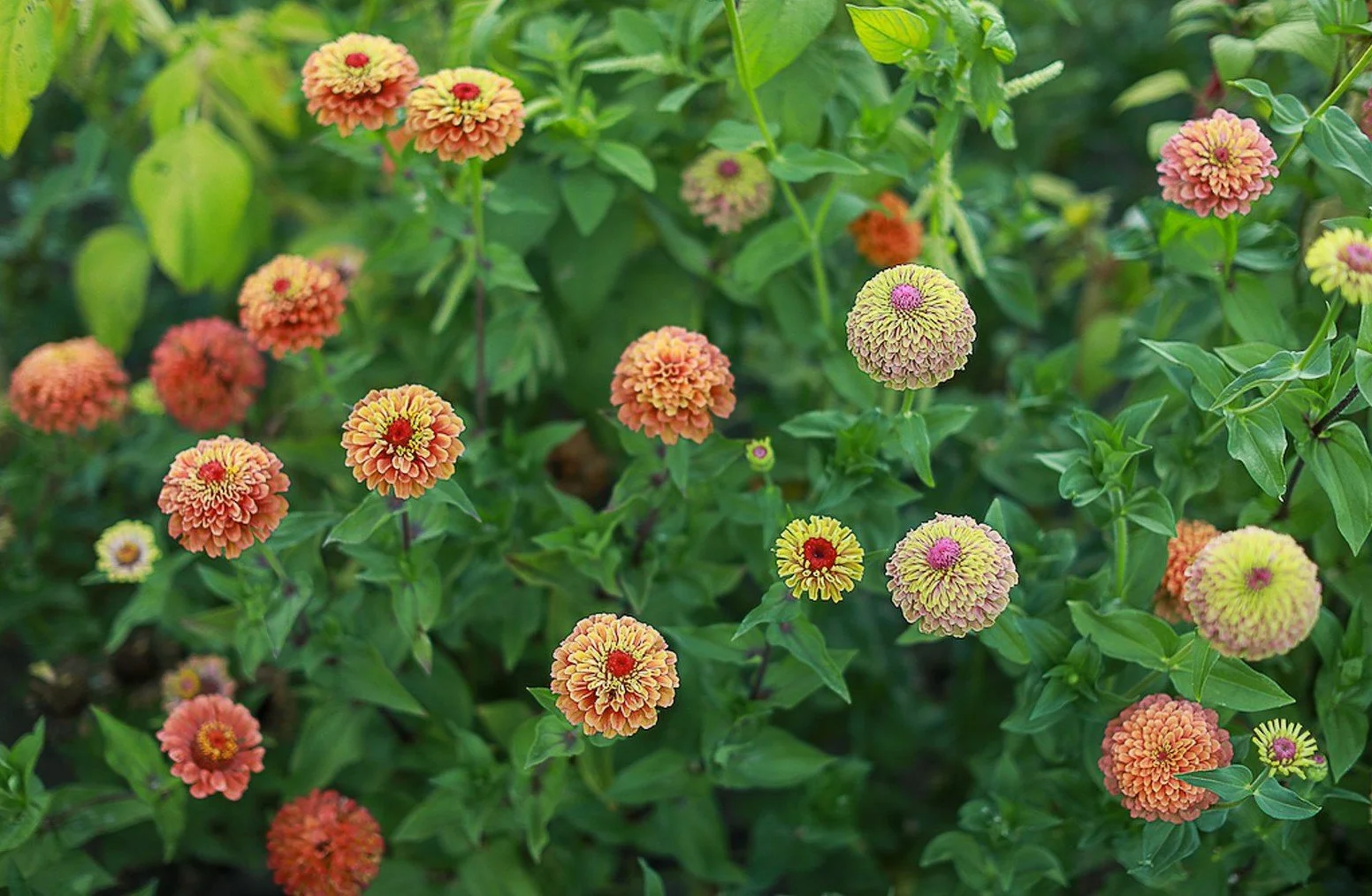 A different approach to place