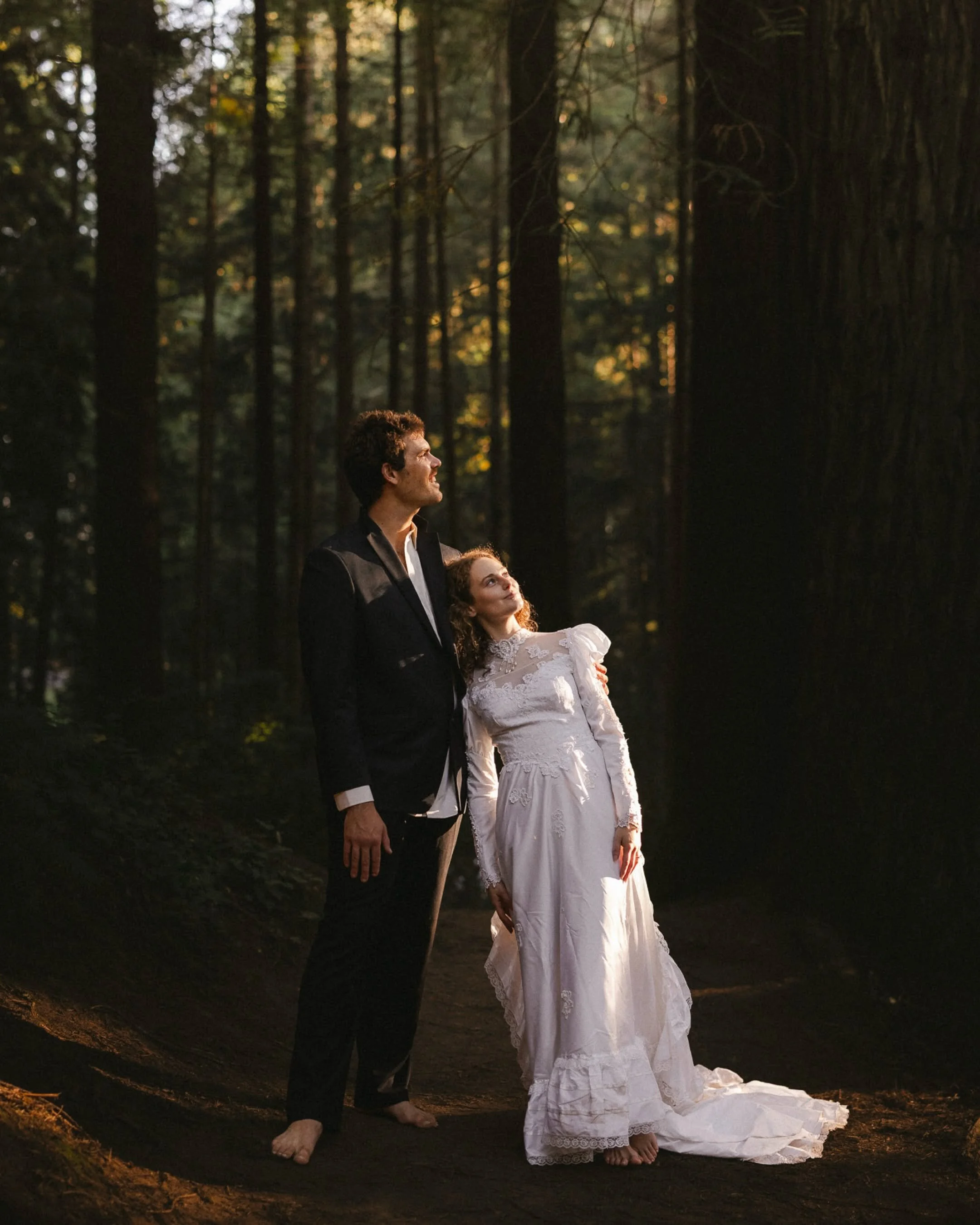 Couple beneath towering redwood trees in Humboldt County, California