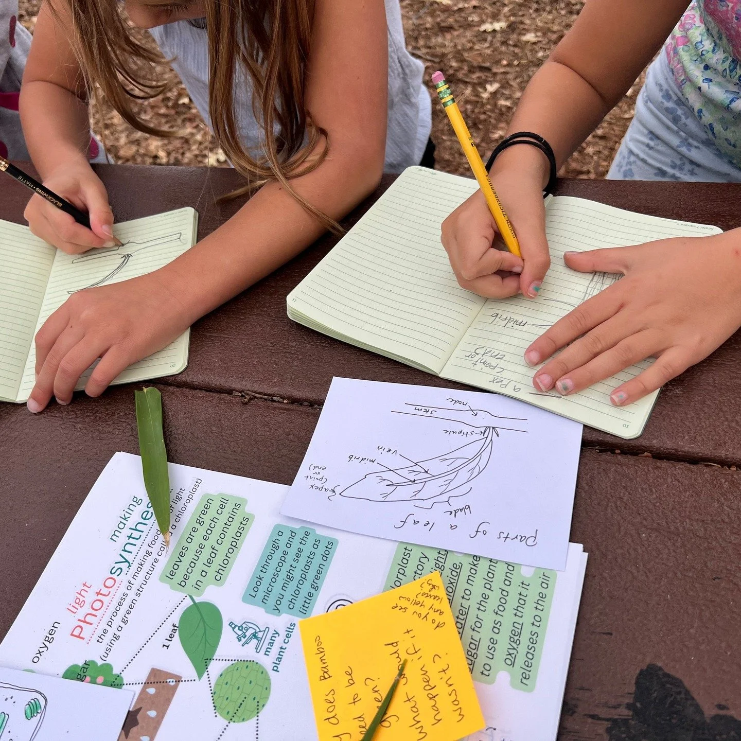 My first Wild Writers workshop ended in December, and it was such a joy! Be on the lookout for upcoming workshops in other venues!

Below is the introduction from the book I created collecting student writing so that they'd have an artifact of the gr