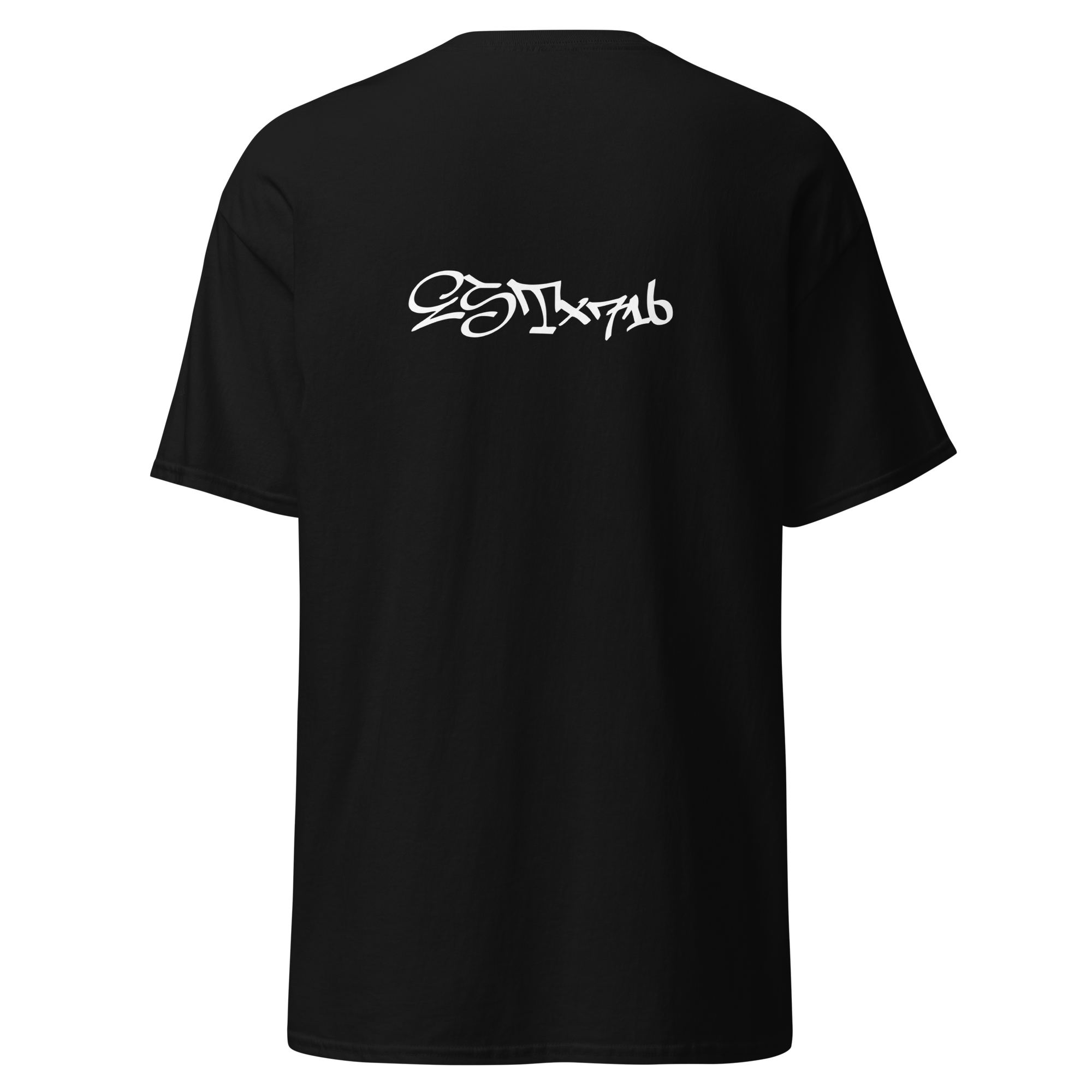 unisex-classic-tee-black-back-69ffb20ec3cd9.png