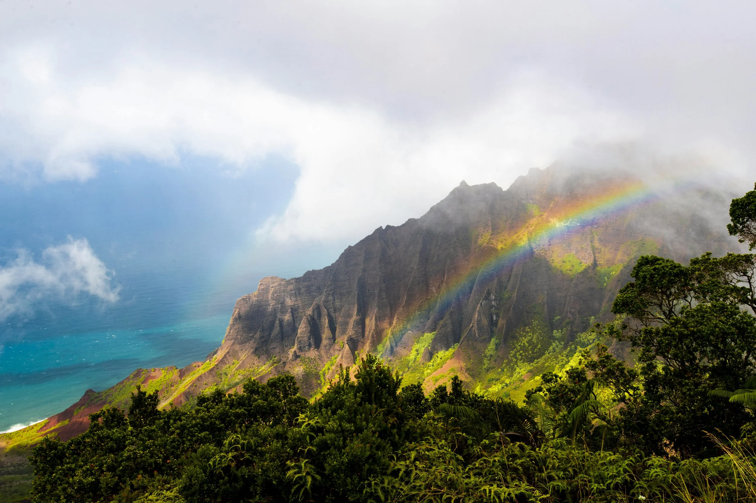 A scenic view of a lush green hillside with trees, a rainbow arching across the mountain, and cloudy skies over the ocean.