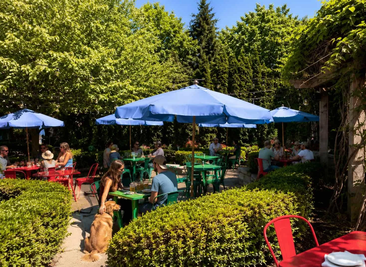 Guests dining on outdoor patio with blue umbrellas, dog-friendly seating, colorful tables, and summer ambiance at Leelanau Steakhouse Seafood & Pasta