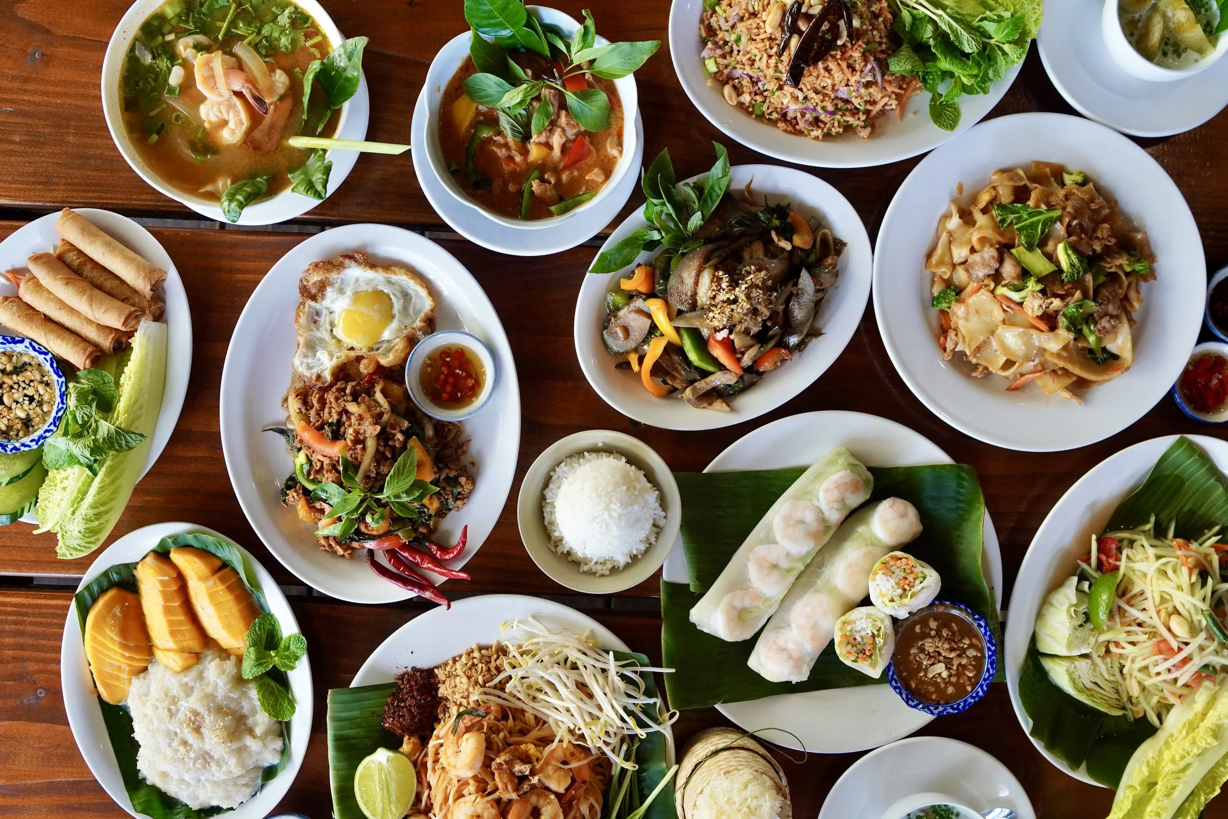 Assorted authentic Thai dishes including curries, spring rolls, noodles, rice, spring rolls, and vegetables served on white plates.