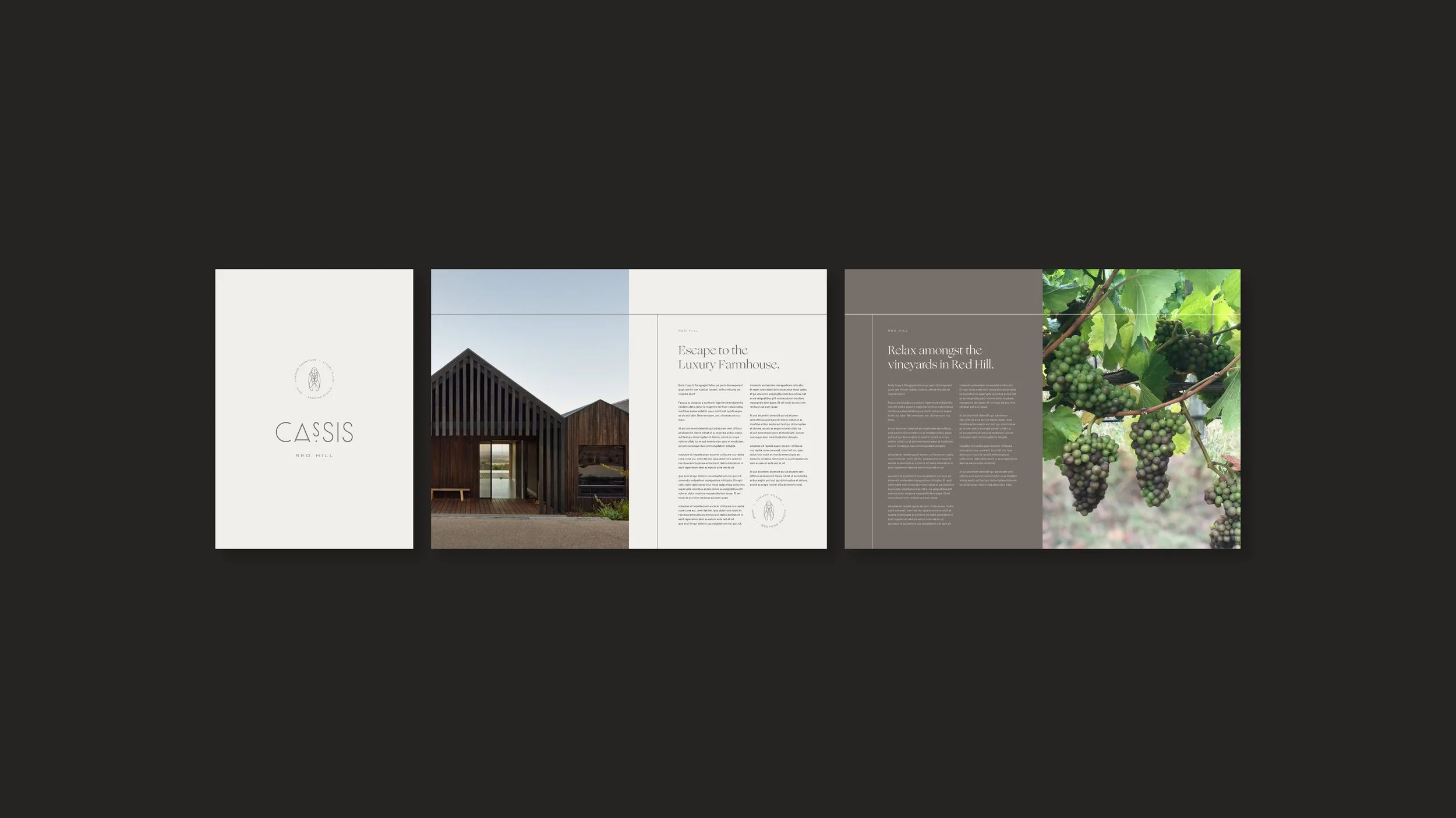 Cassis_Project_Slides6.jpg