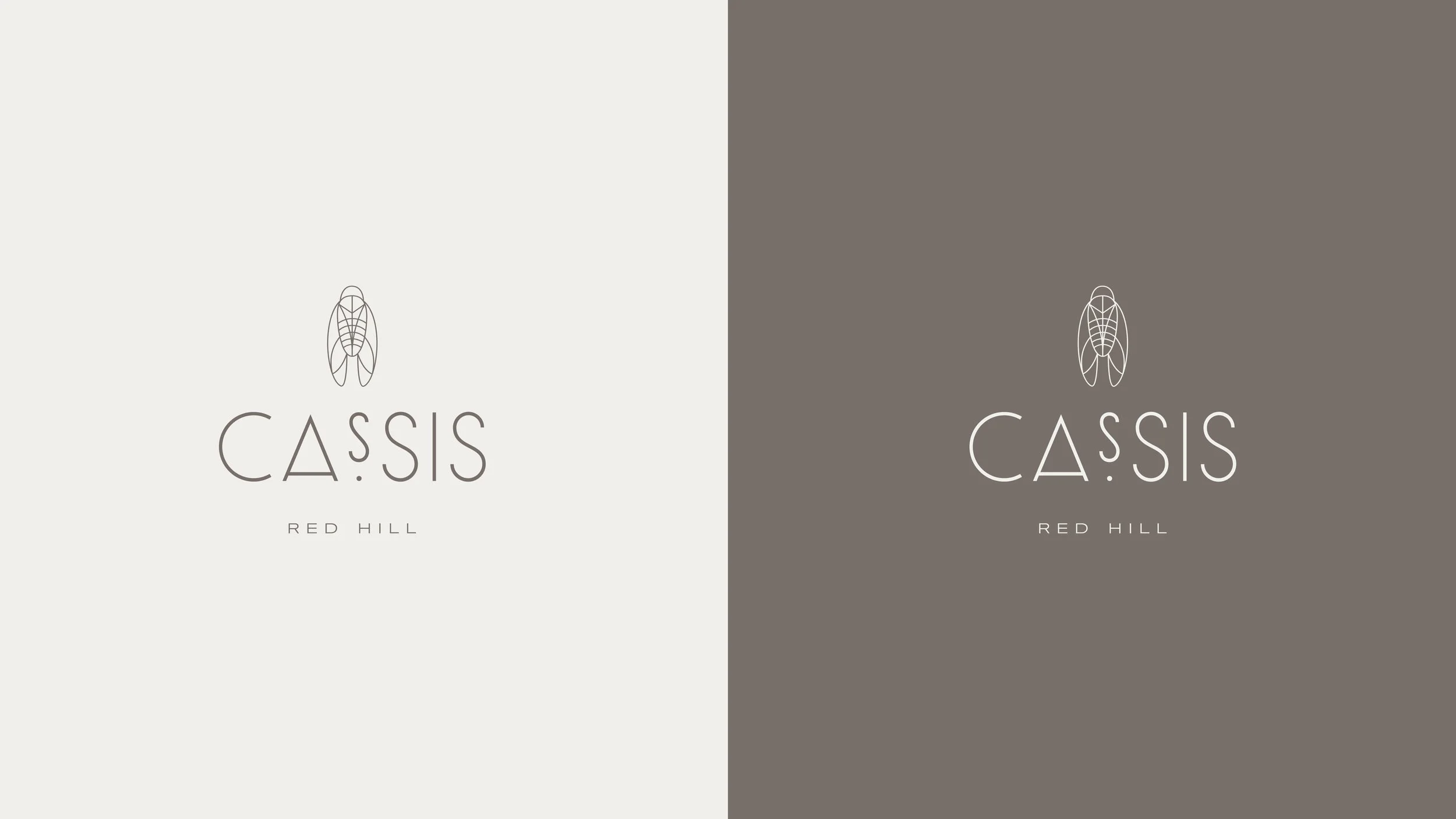 Cassis_Project_Slides.jpg