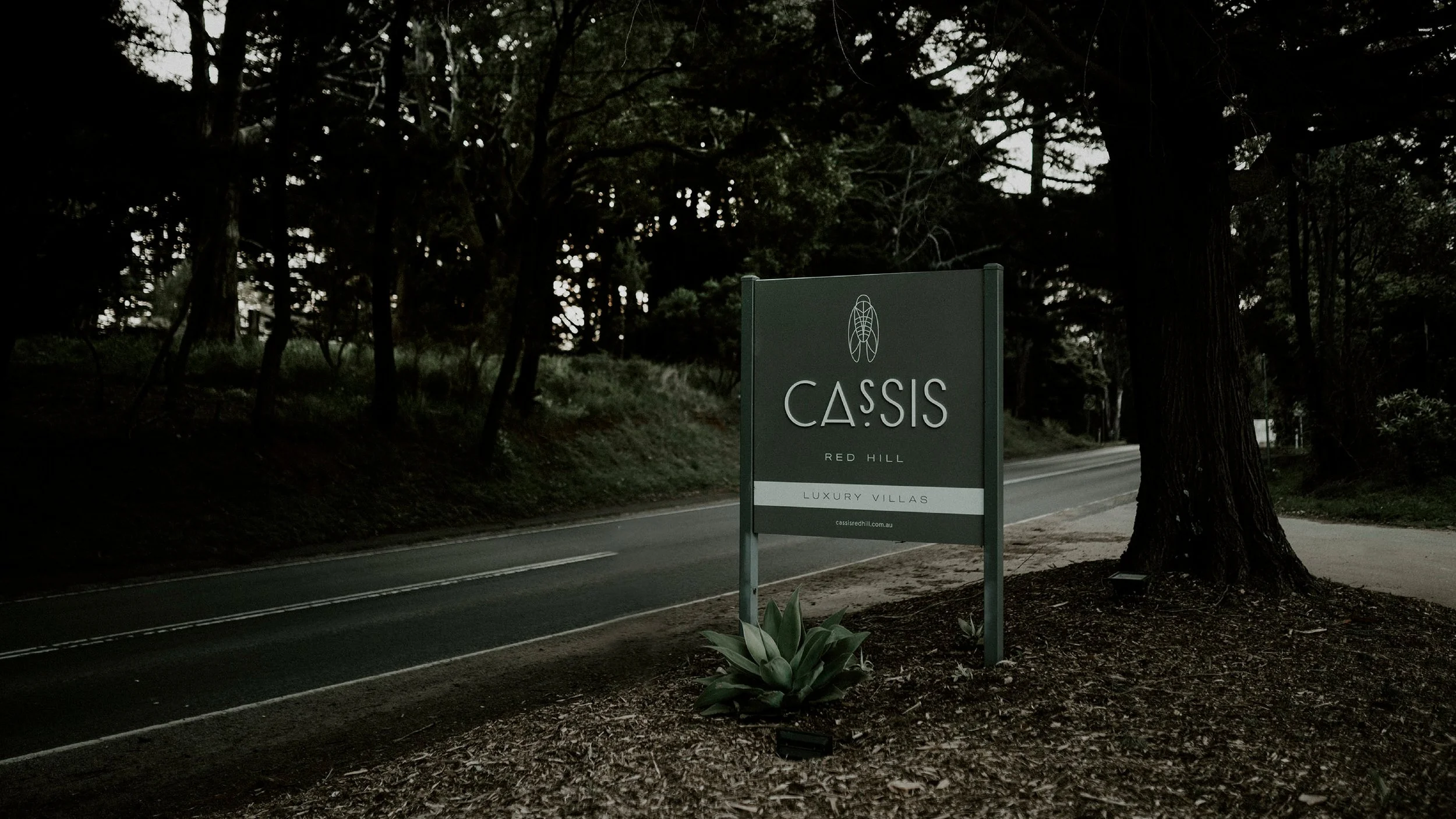Cassis_Project_Slides5.jpg