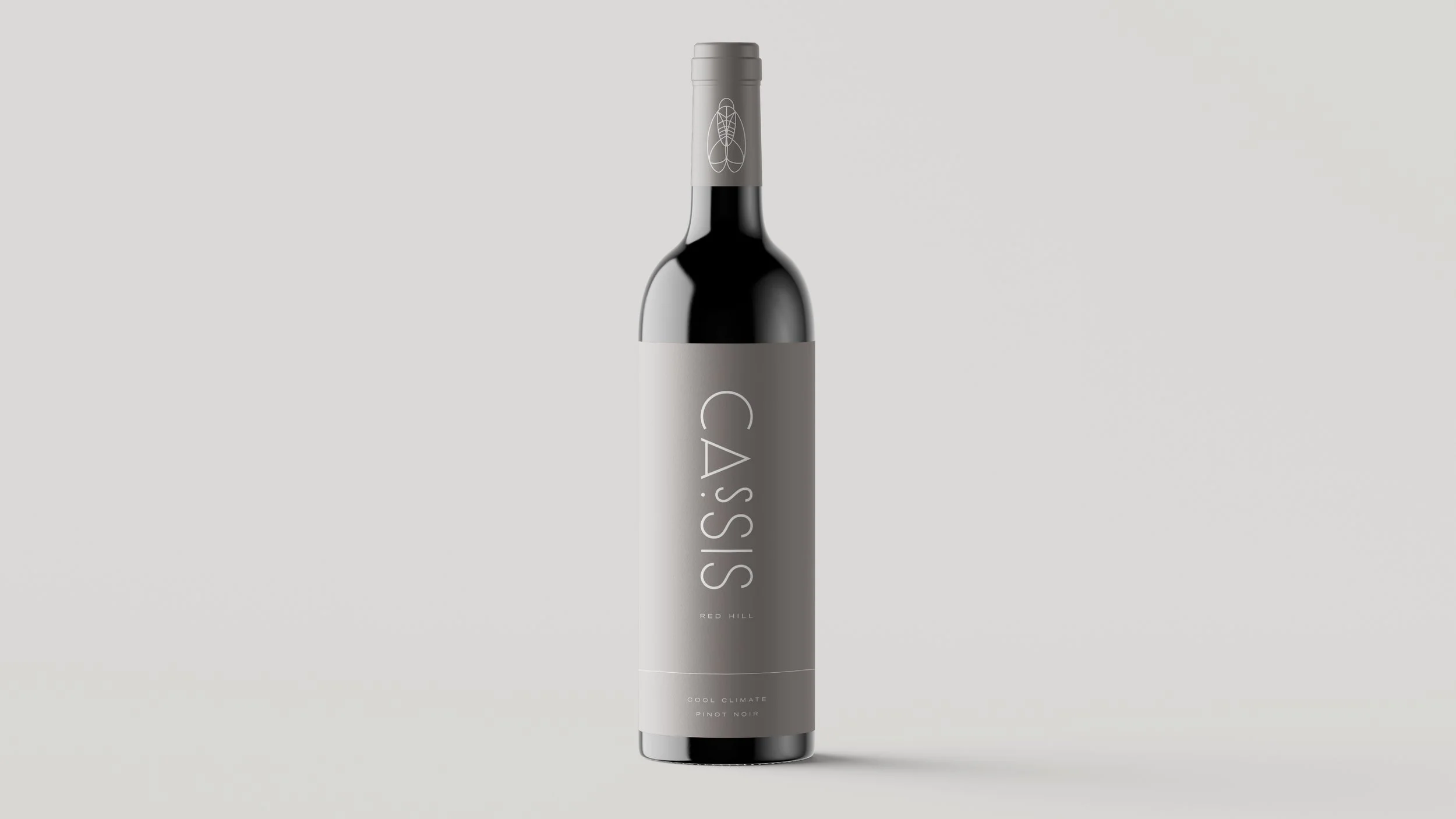 Cassis_Project_Slides4.jpg