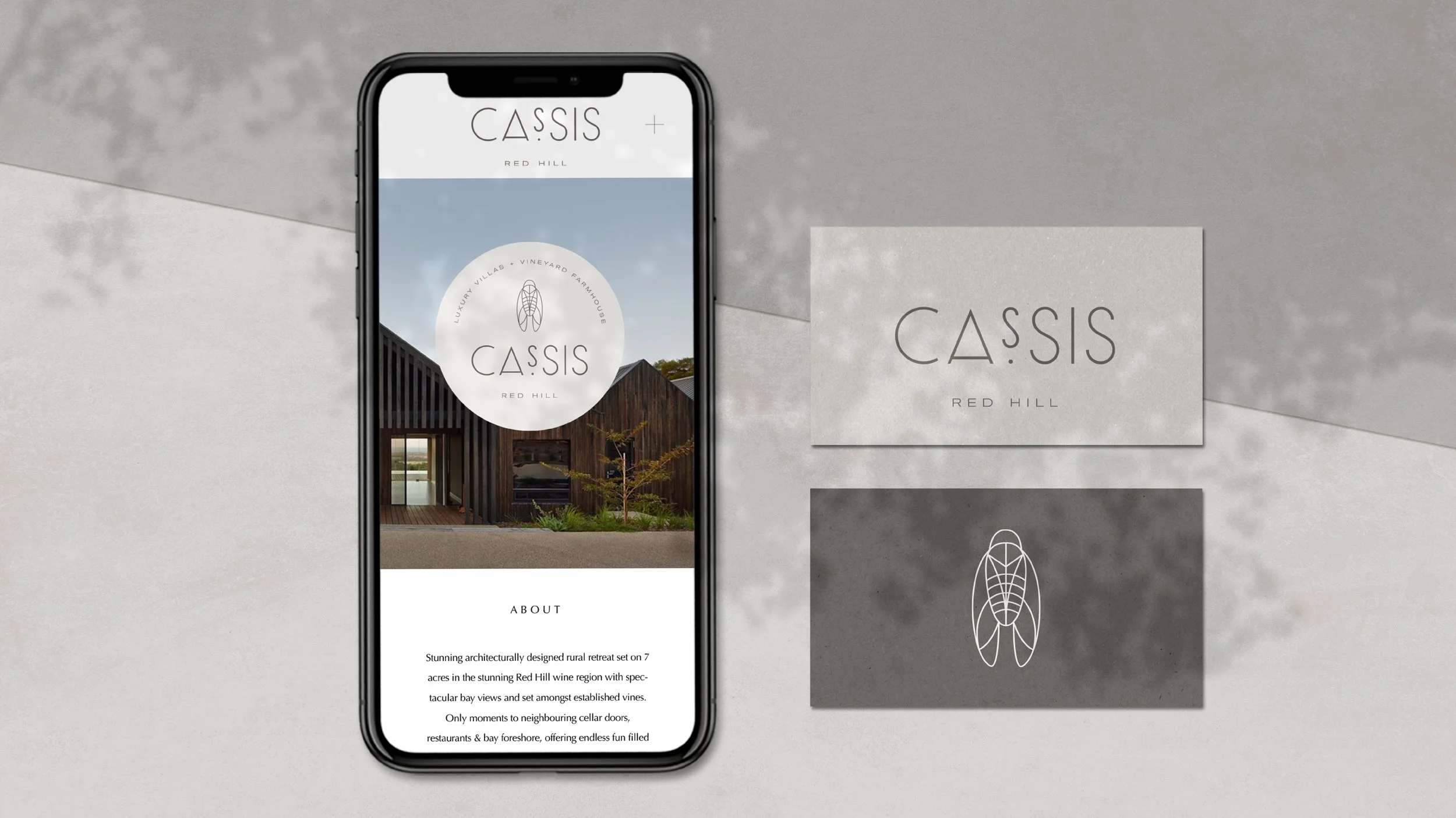 Cassis_Project_Slides2.jpg
