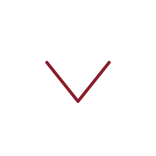 A black icon of a downward-pointing arrow with a straight line above it.
