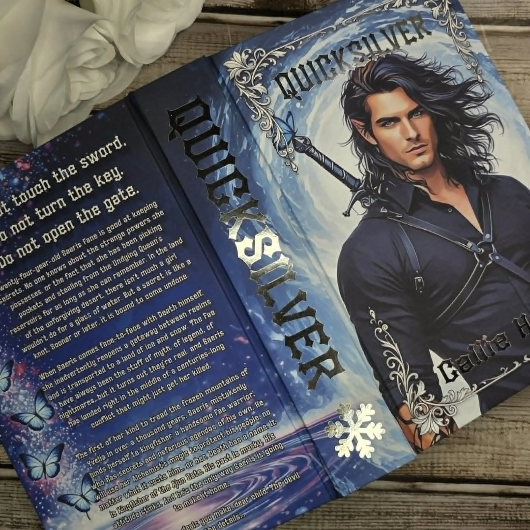 Special Edition Quicksilver front and back cover