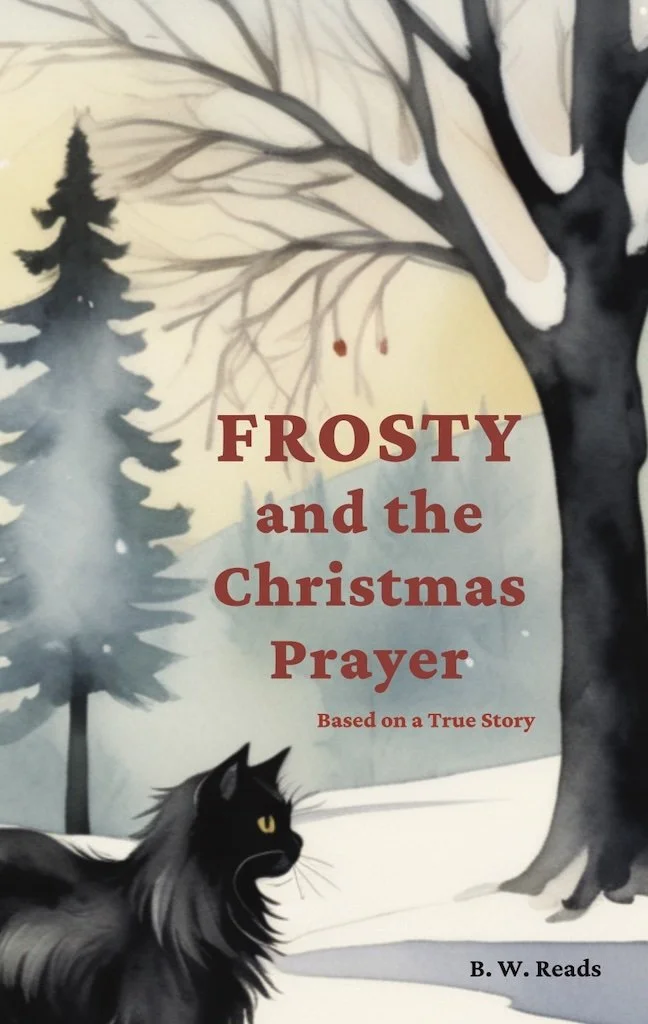 Frosty and the Christmas Prayer Book Cover