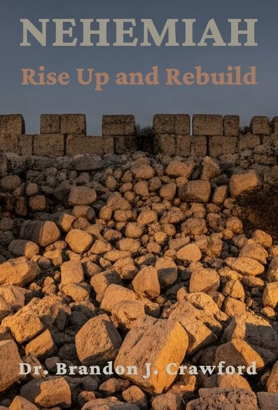 Nehemiah: Rise Up and Rebuild Book Cover