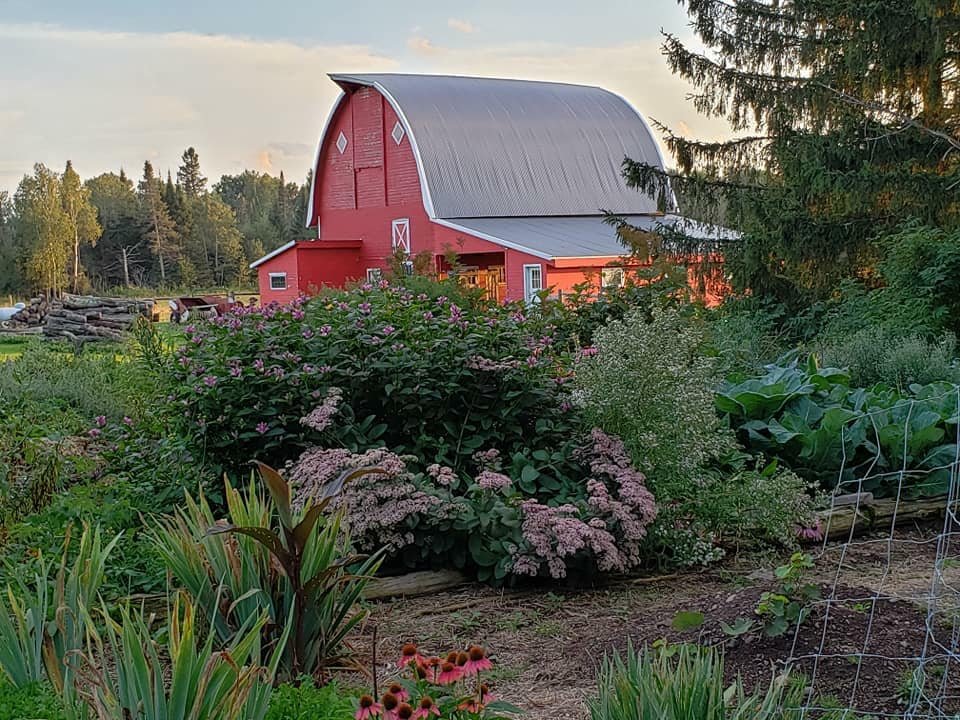 Perennial Project at Lucky Dog Farm