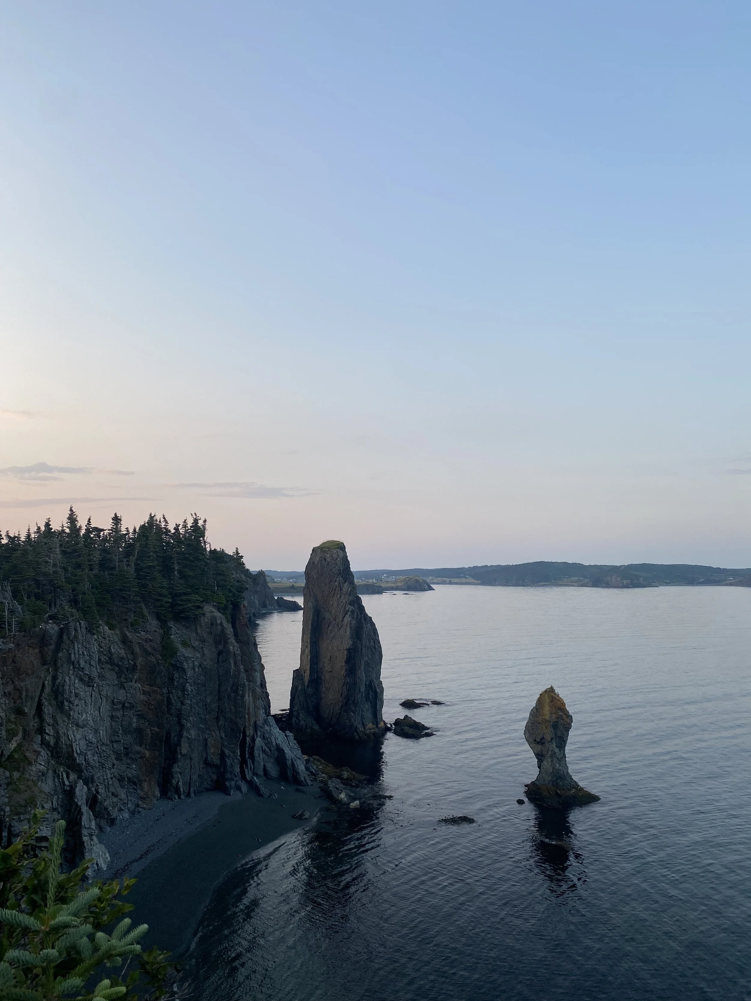 Sea stacks along a rocky coastline with forested cliffs and a calm body of water under a light blue sky.