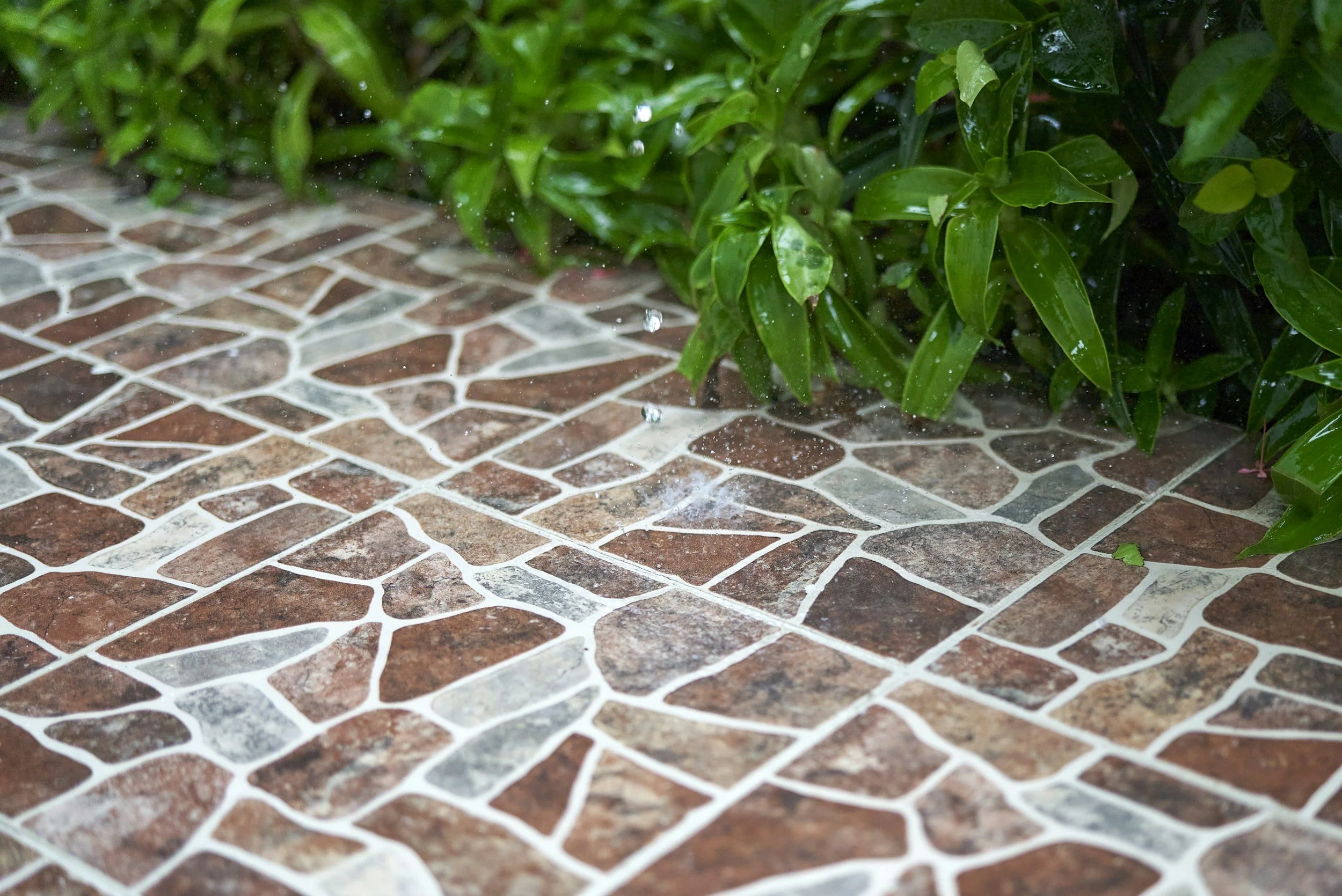 Close-up of wet green foliage and a tiled wet ground with small water droplets falling.