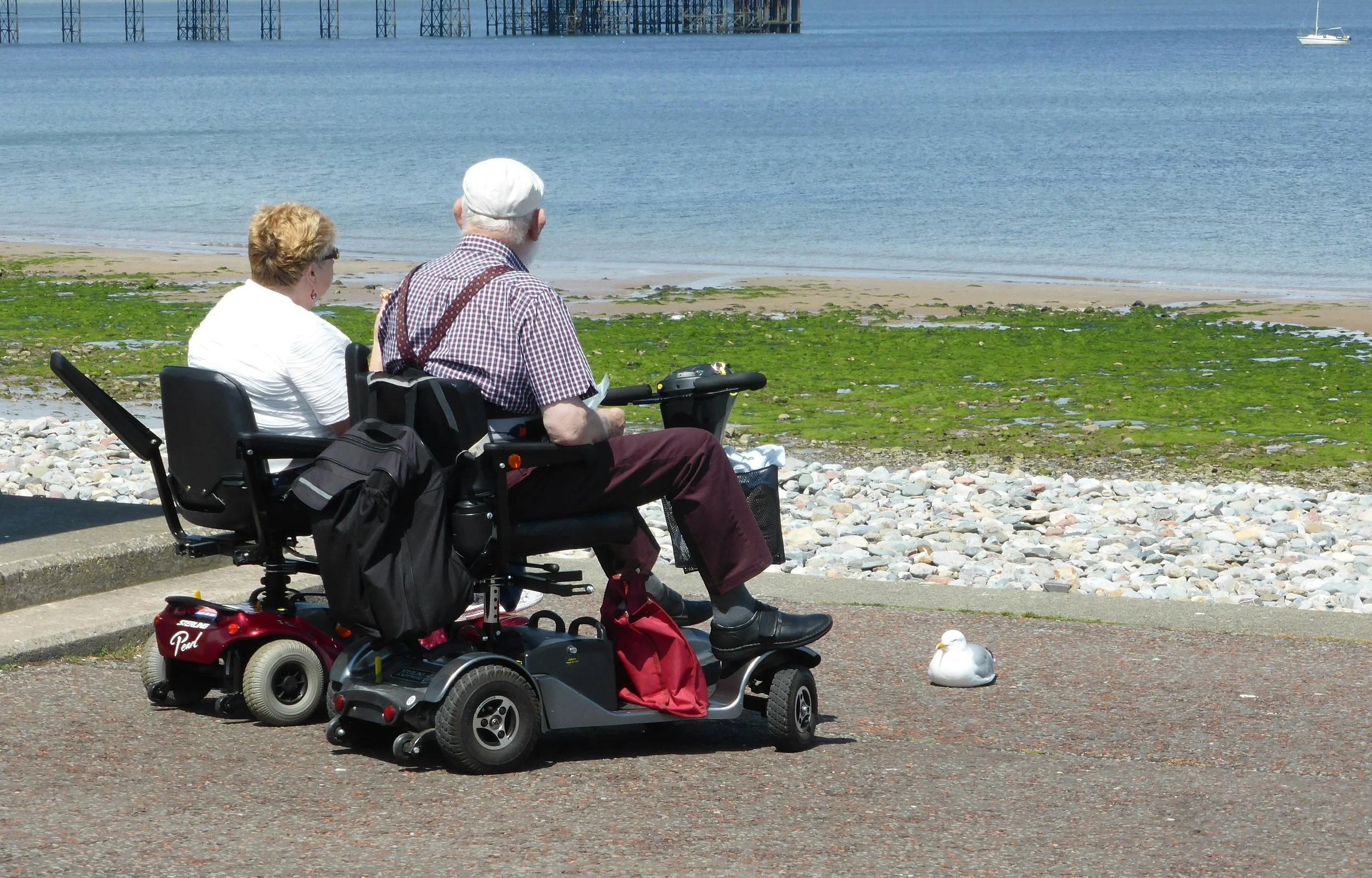 Two elderly individuals, one in a motorized wheelchair, sit by the water on a pebble-covered shoreline, with a sailboat and a pier in the background.