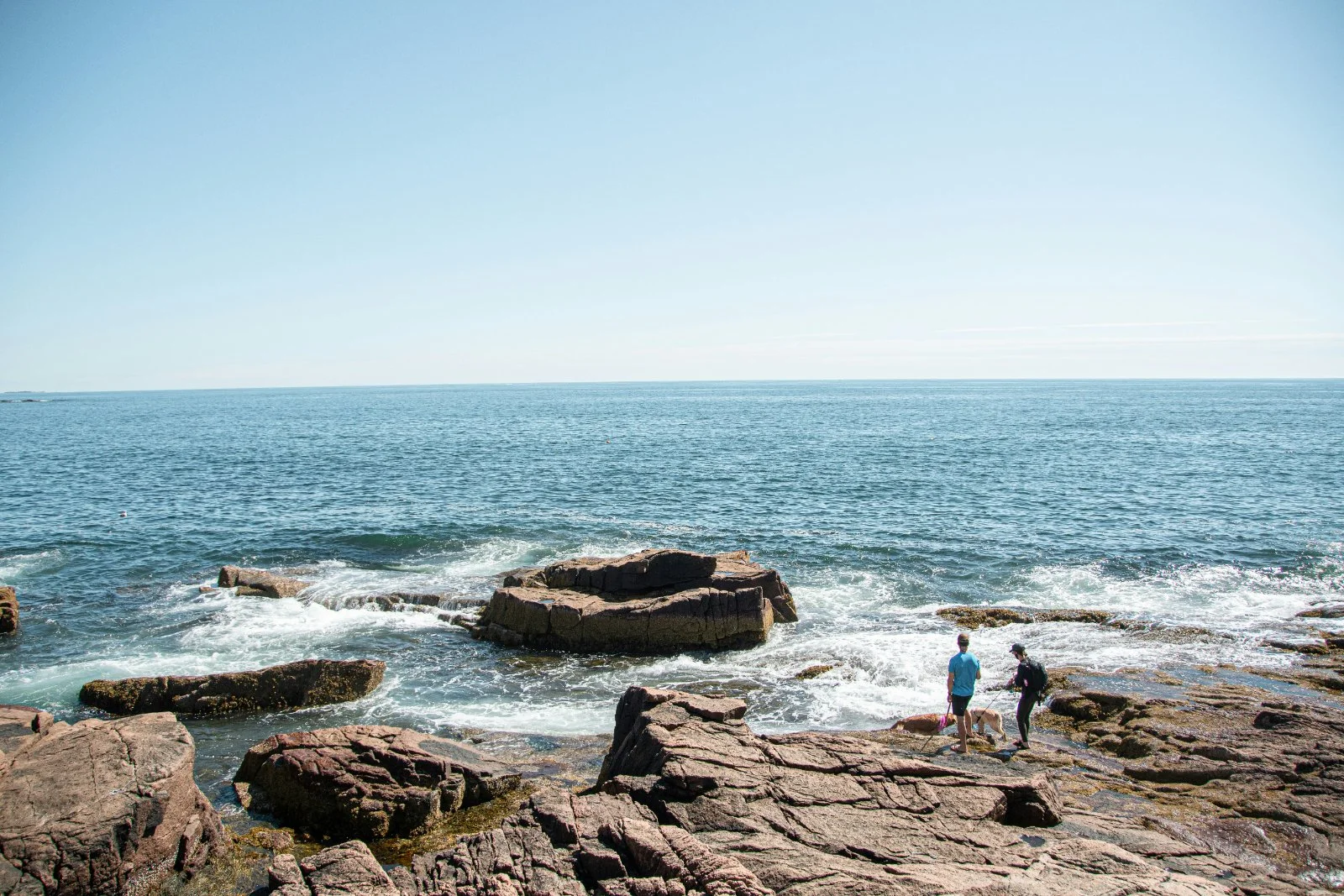 Two people and a dog standing on rocks by the ocean with waves crashing against the rocks and a clear blue sky overhead.