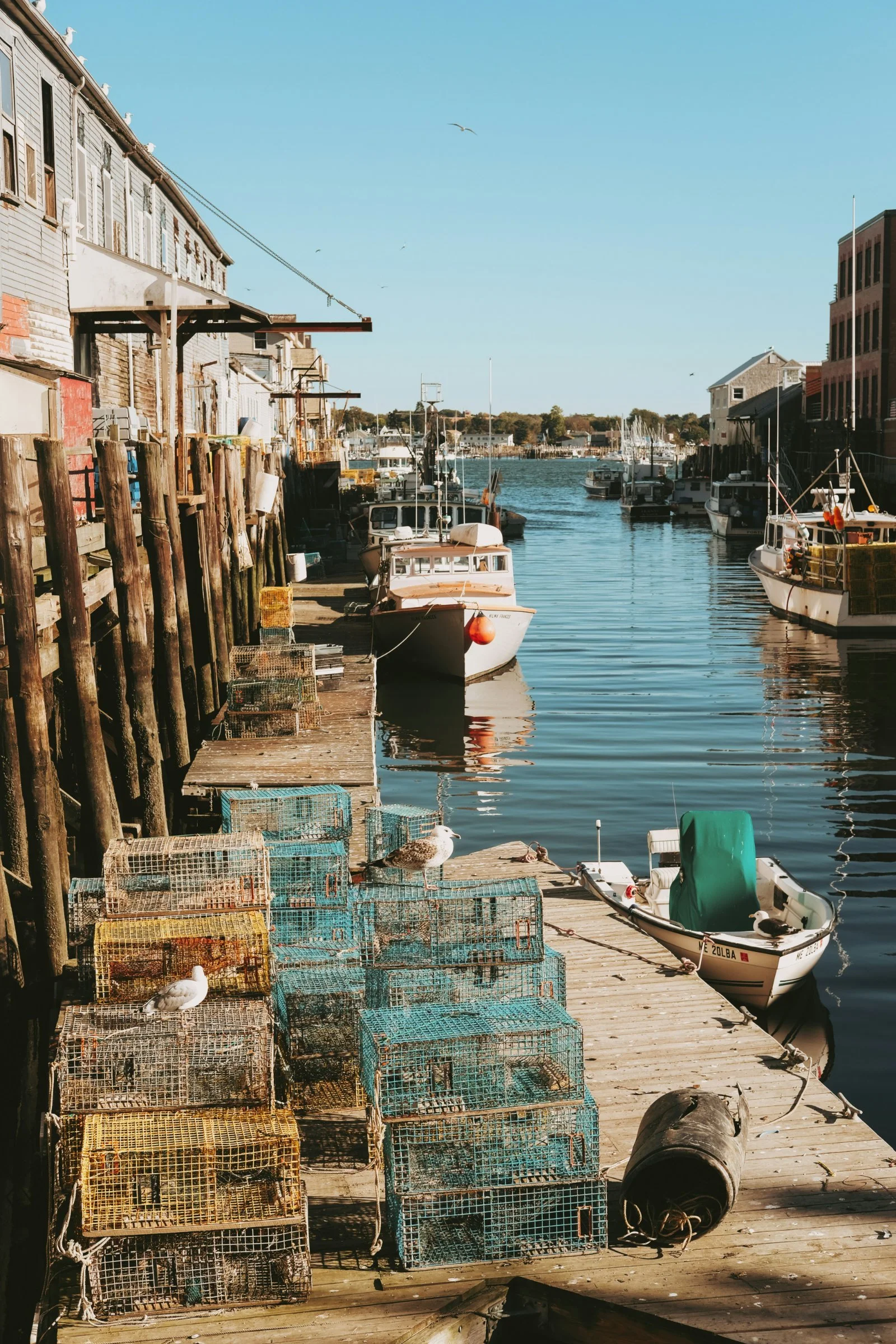A dock by the water with several boats docked. On the left, there are old buildings with wooden and brick facades. In the foreground, there are many small, colorful crab traps stacked and a few seagulls perched on the traps. The scene is calm with a clear blue sky and a few birds flying.