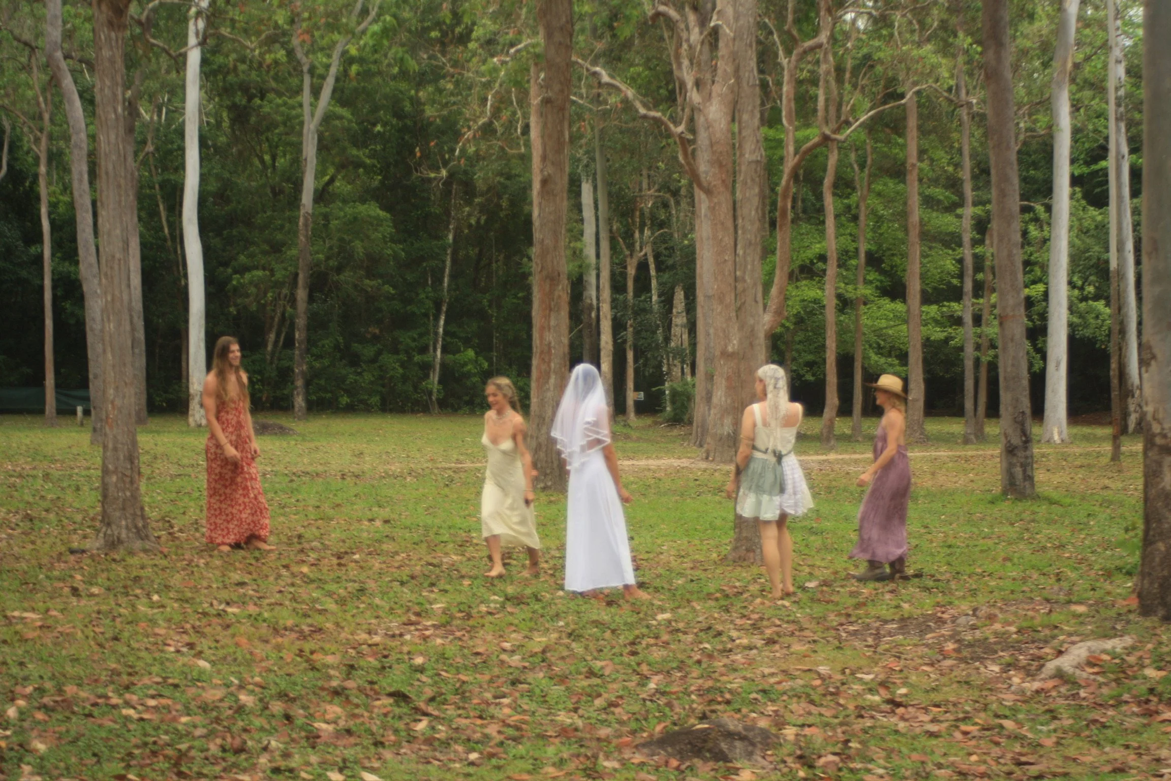 A group of women dressed in vintage and wedding attire standing outdoors among tall trees in a wooded area, possibly before a wedding or wedding photo shoot.