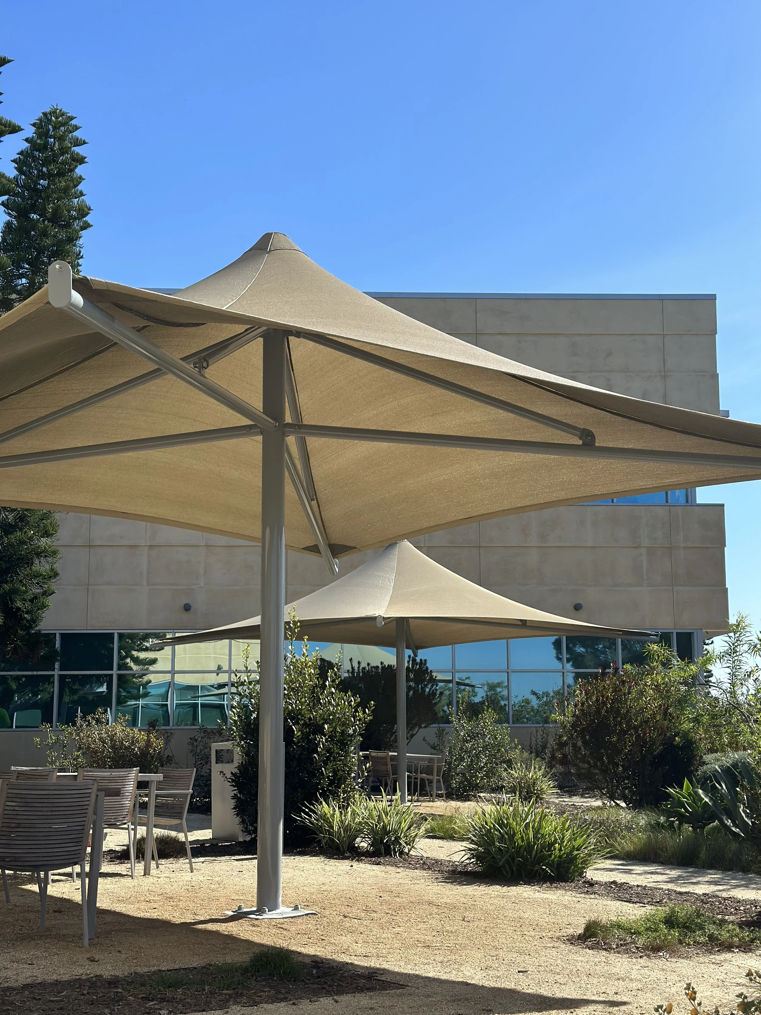 Outdoor seating area with large beige umbrellas, tables, and chairs, surrounded by various plants and shrubbery, in front of a modern building with large windows and clear blue sky.
