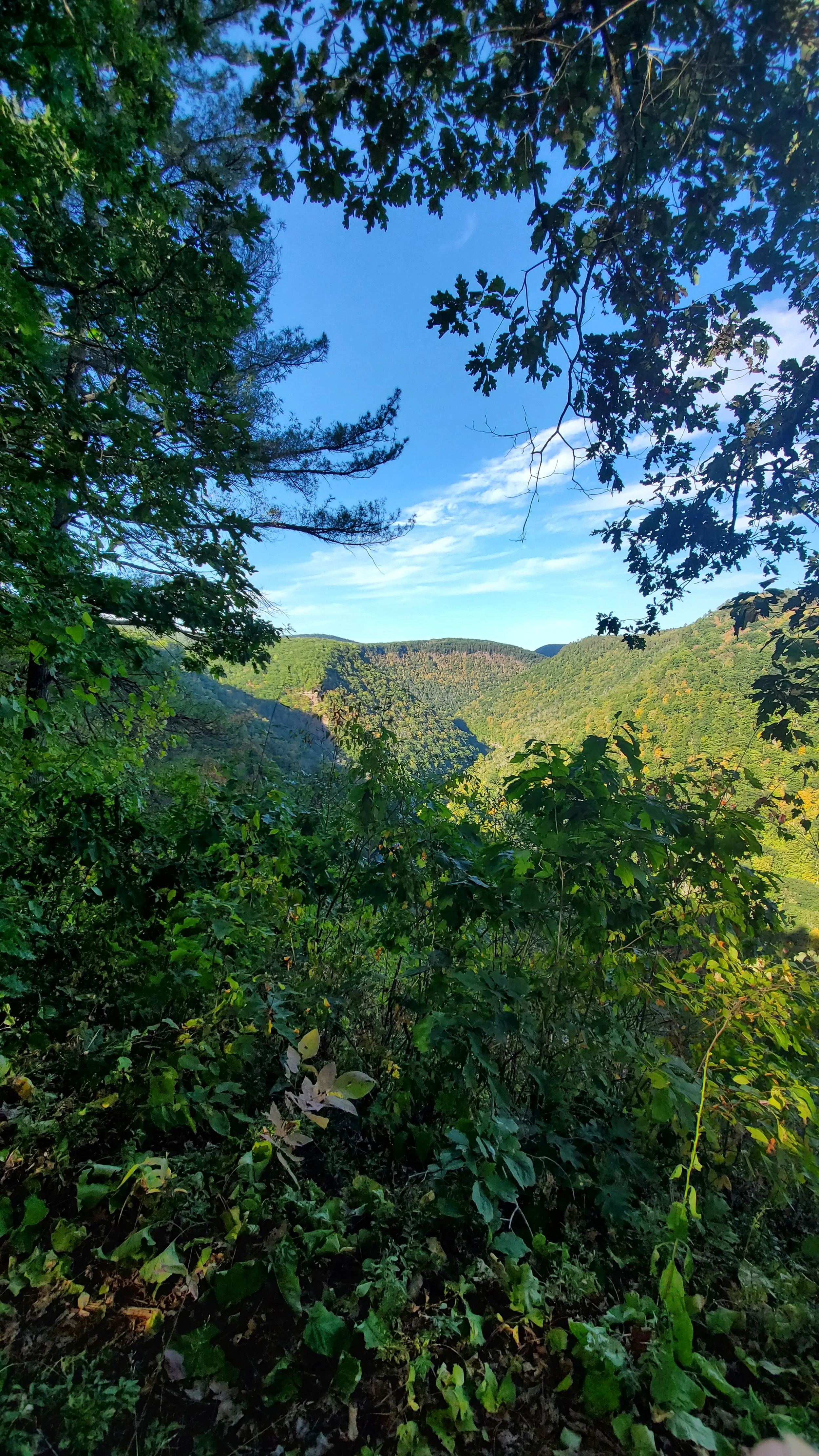 Pennsylvania Grand Canyon