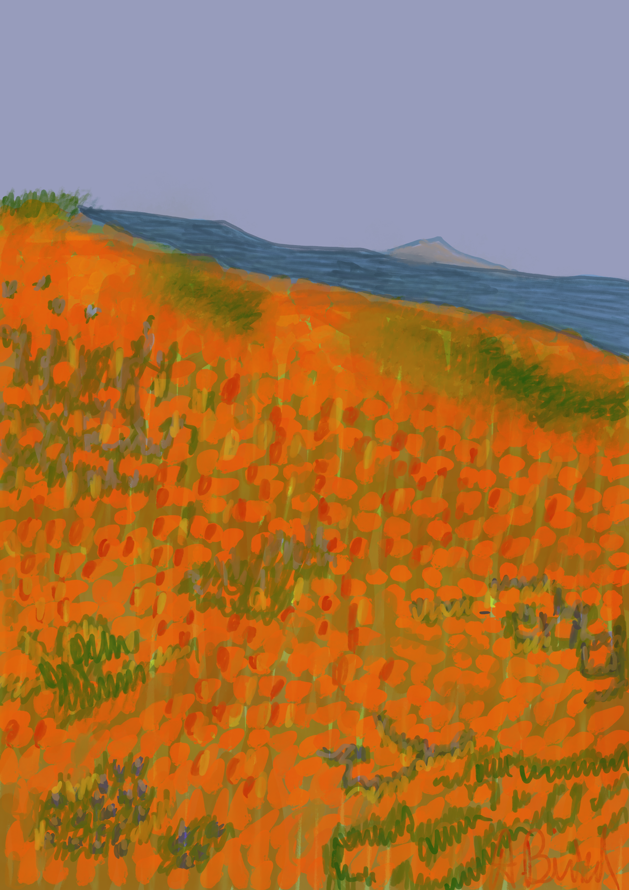 Tangerine.png
