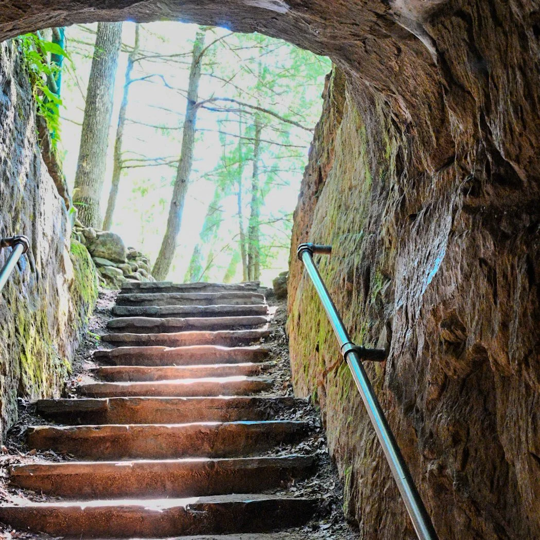 A wooden staircase leading up out of a cave or tunnel, with metal handrails on both sides, surrounded by moss-covered rocks and trees.