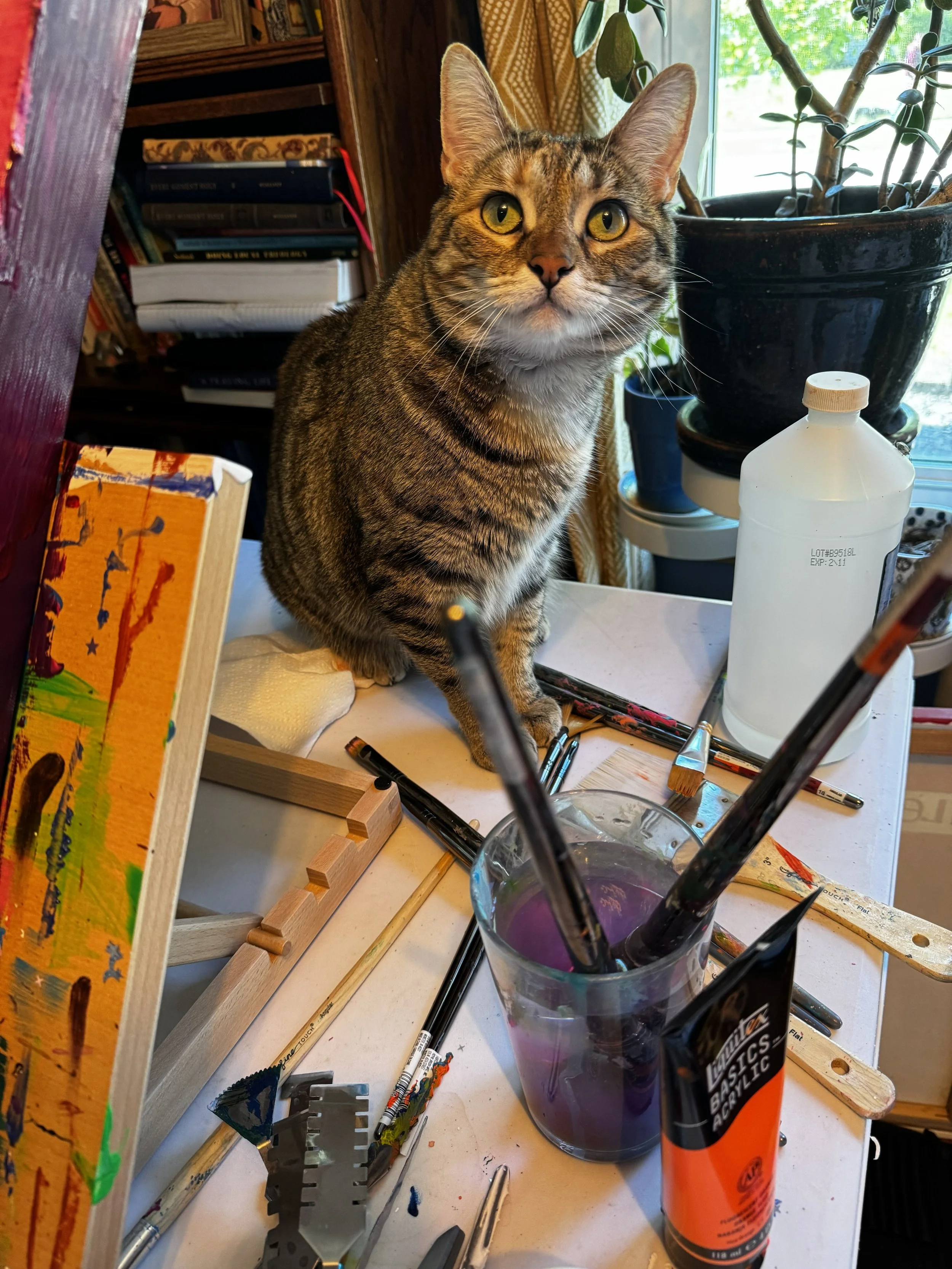 Torbie cat sitting on an art table by paints and supplies
