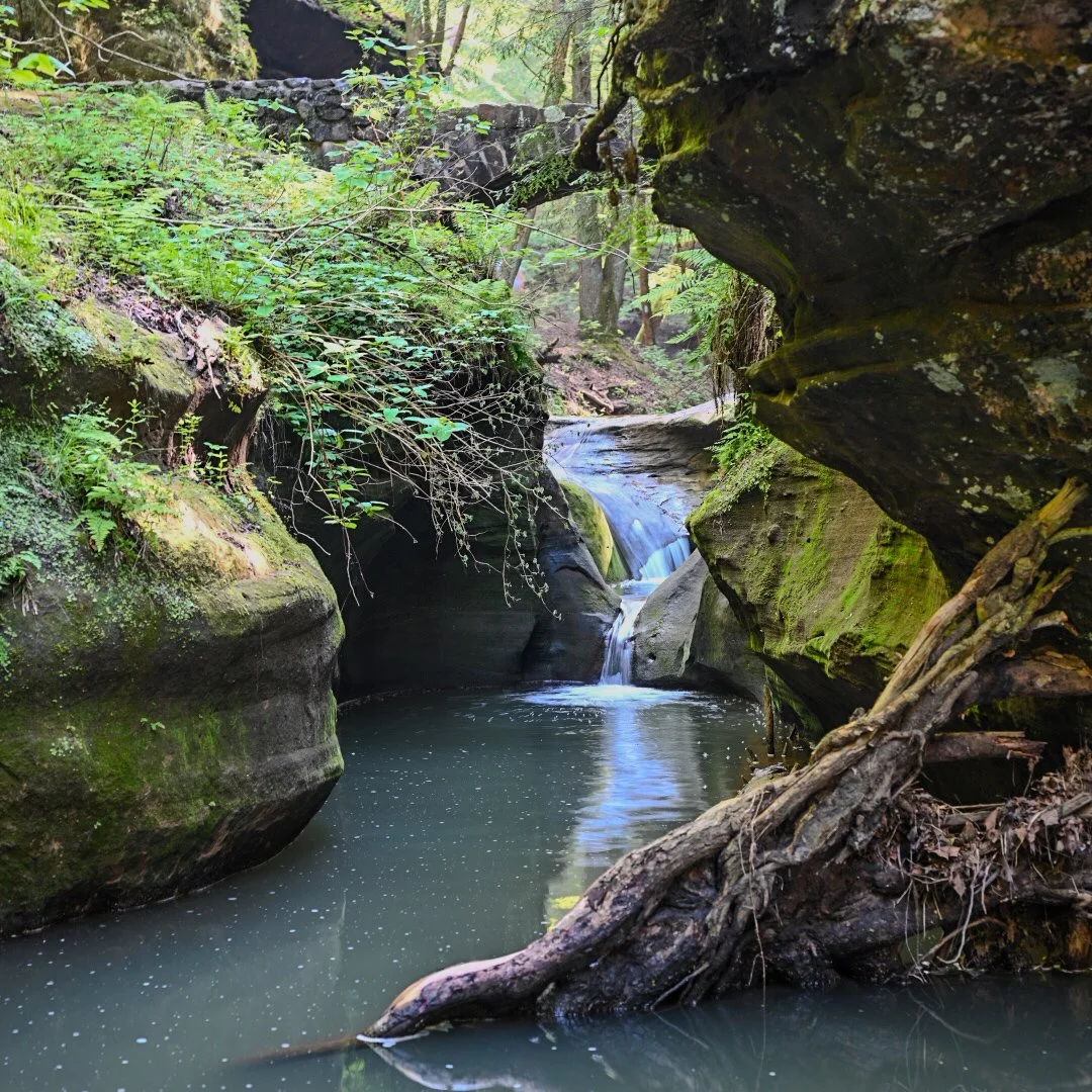 A small waterfall flowing into a narrow, moss-covered canyon with calm water, surrounded by green vegetation and trees.