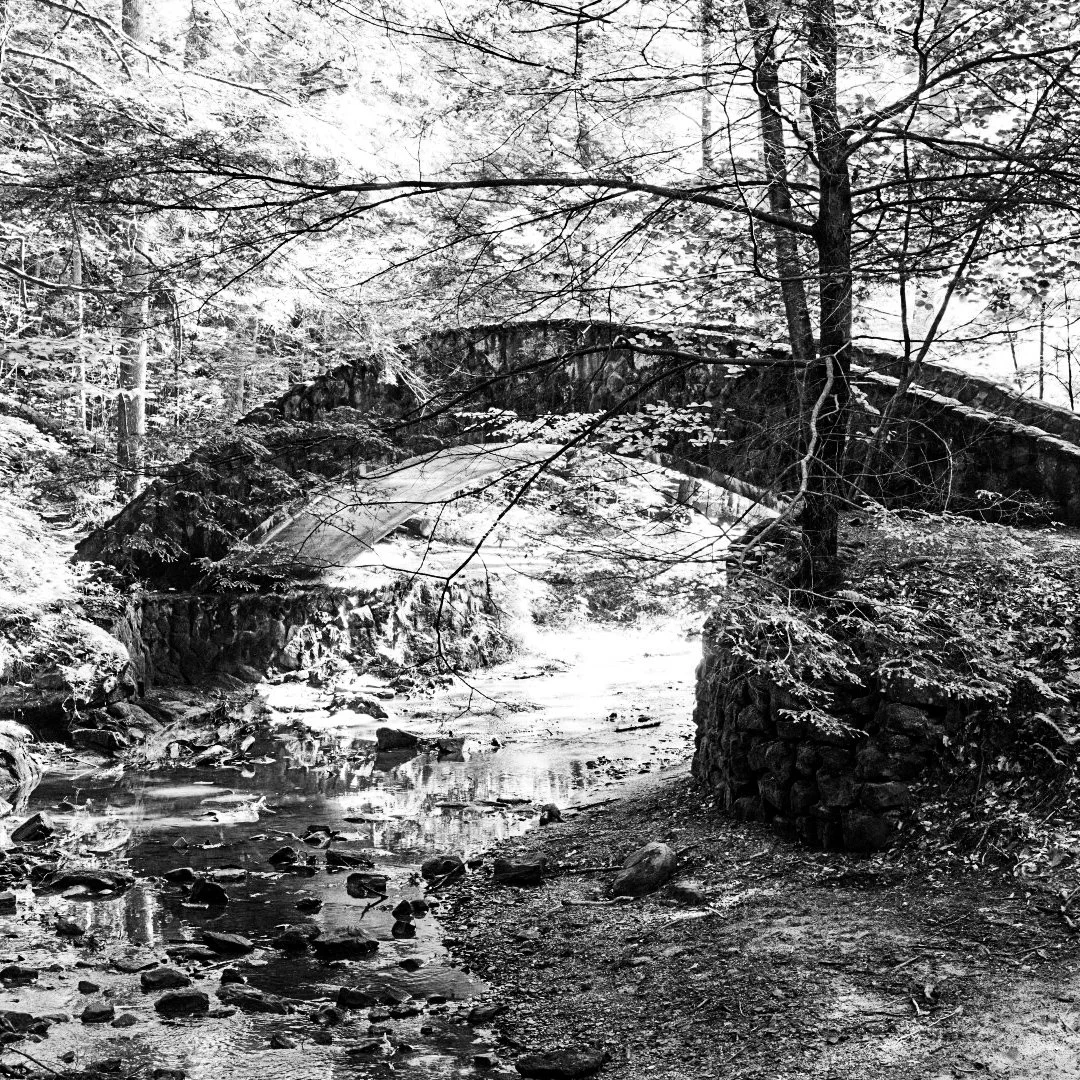 Black and white photograph of a stone bridge arching over a small stream in a wooded area, with trees and branches covered in snow.