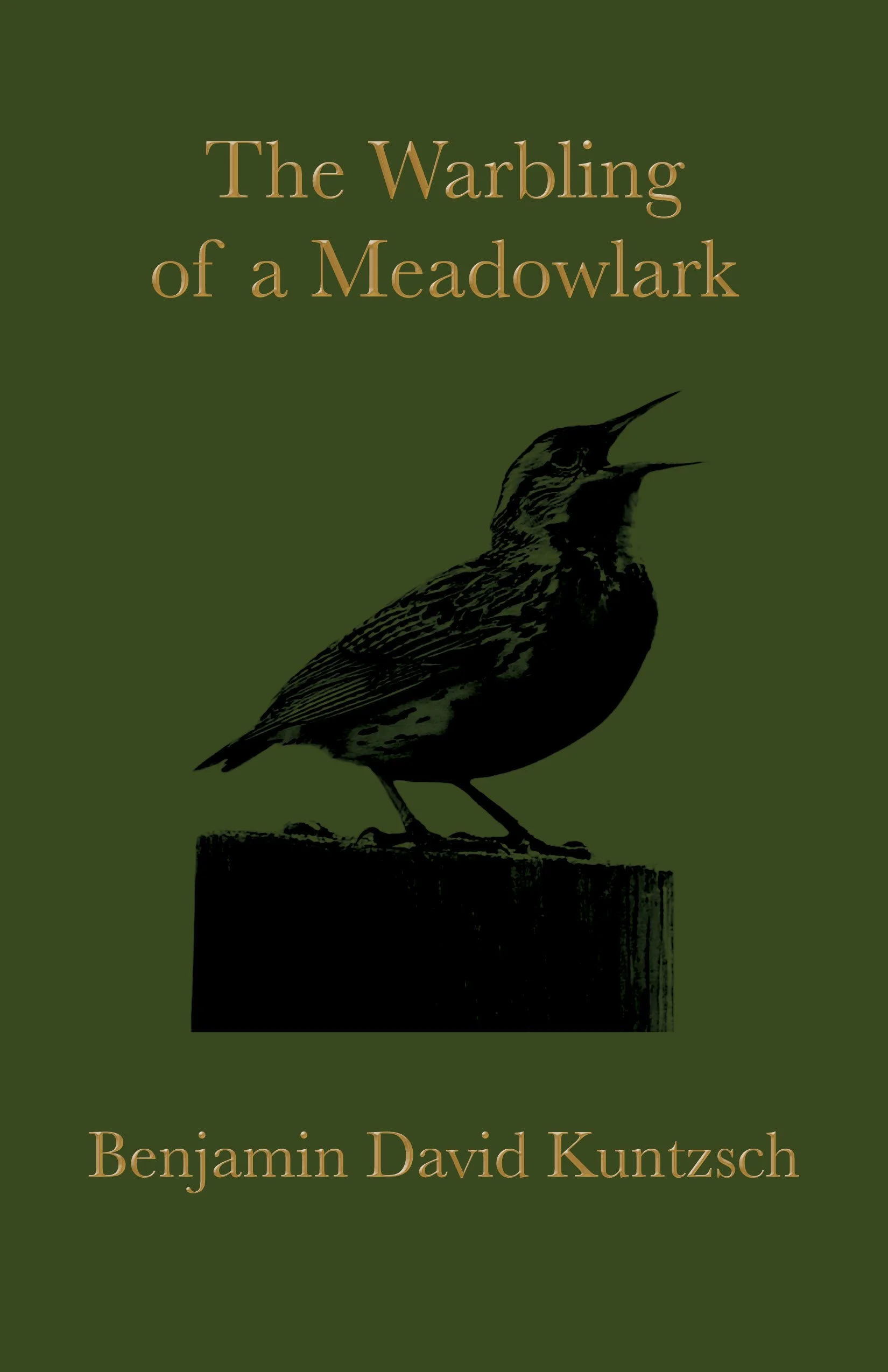 The Warbling of a Meadowlark