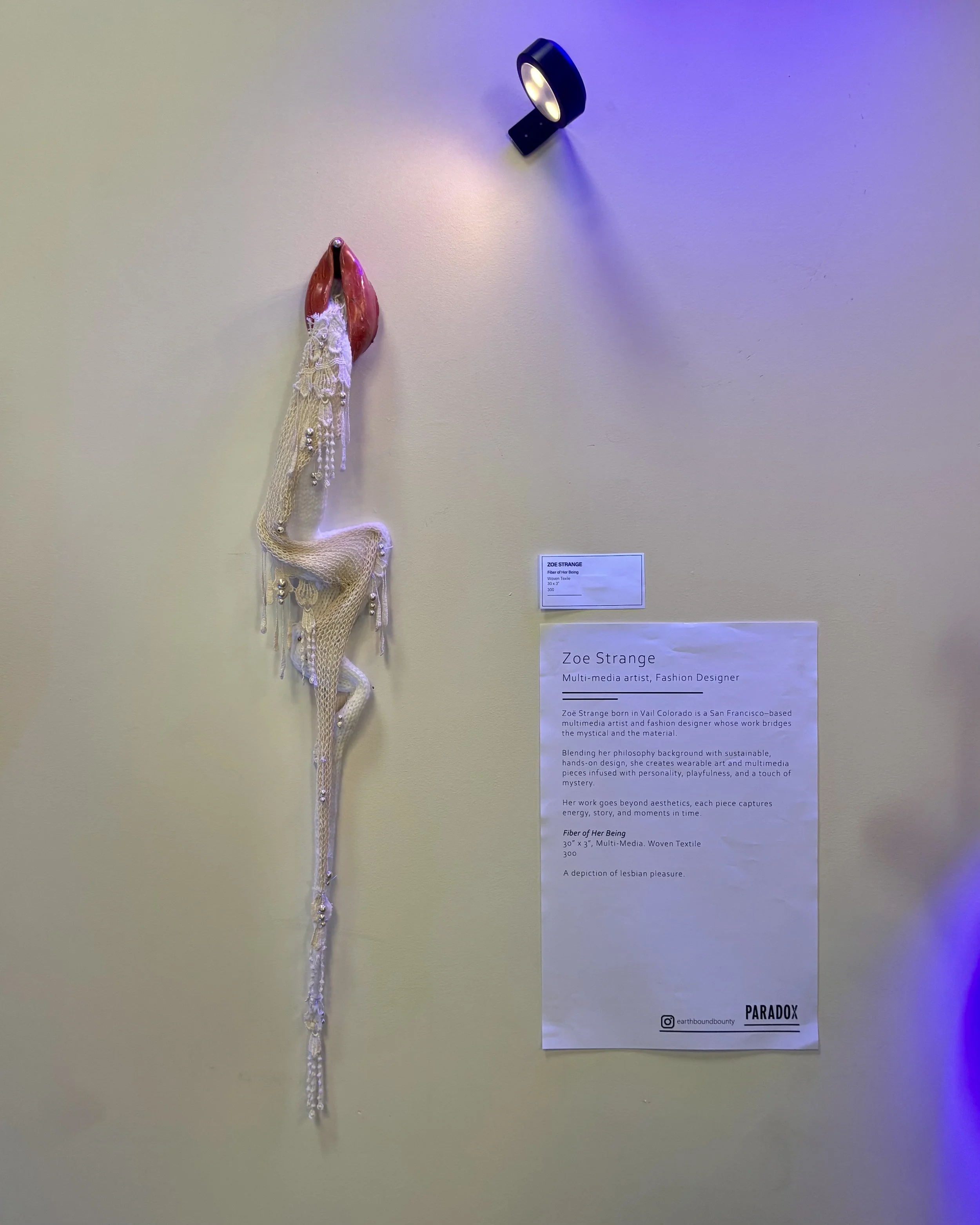 A mixed-media art piece titled 'Fiber of Her Being' by Zoe Strange. It depicts a garment with lace and bead details hanging on a wall, accompanied by an informational placard about the artist.