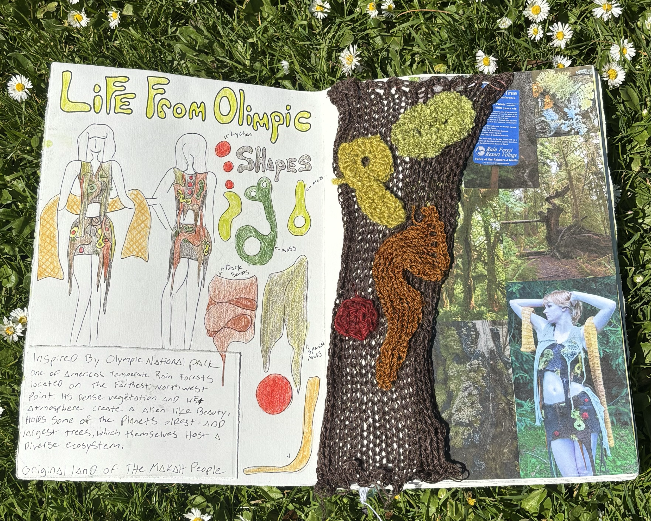 A book page with colorful drawings, text, and a textured fabric artwork, lying on grass with small white daisies. The page features a drawing labeled "LIFE from OLIMPIC," with illustrations of human bodies and organs, and handwritten text about rainf