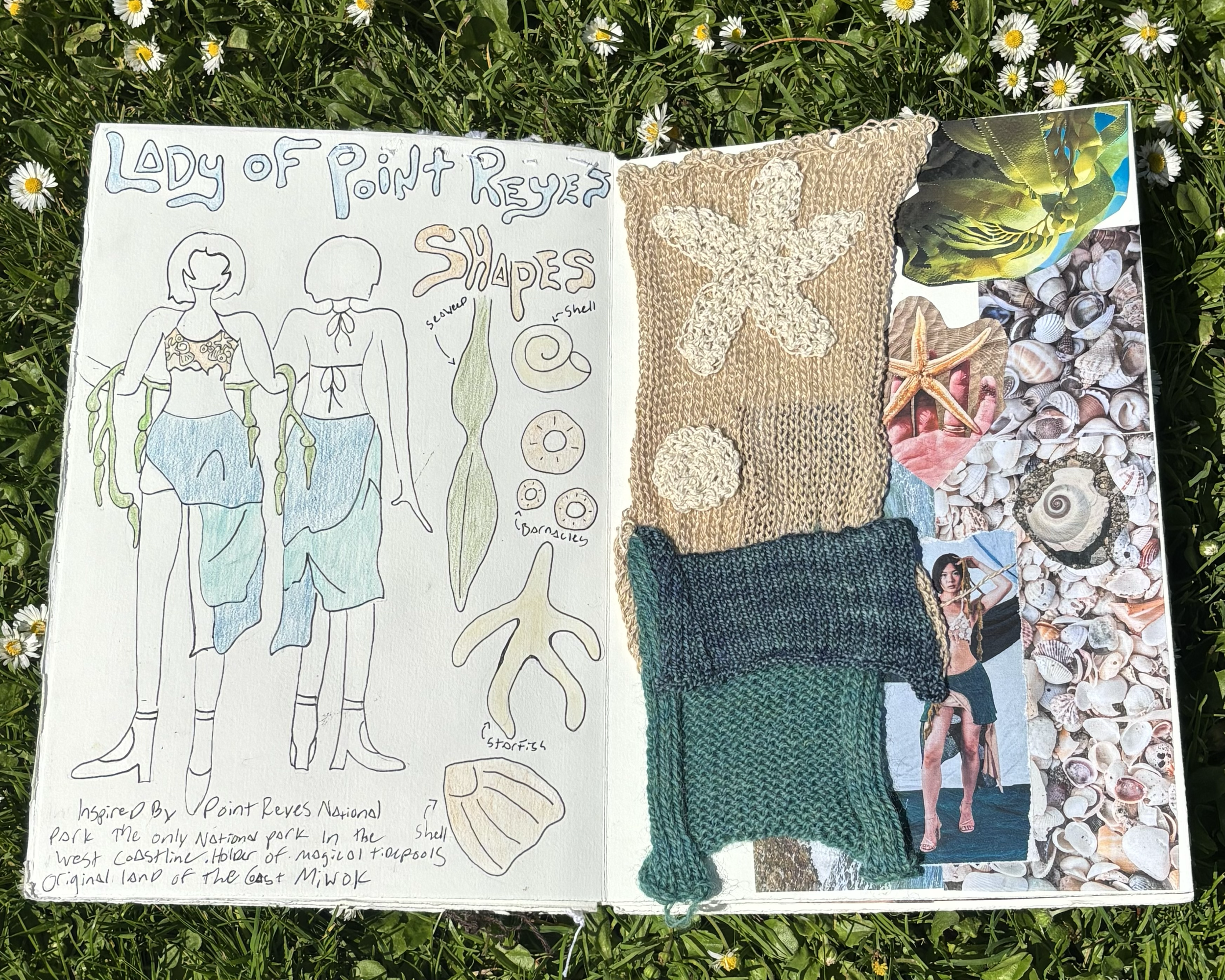 A hand-drawn sign titled 'Lady of Point Reyes Shapes' with illustrations of female figures with ocean-inspired themes, hand-knit swaddle, and shells, surrounded by collage images of seashells, starfish, and an ocean scene, all on grass and daisies.