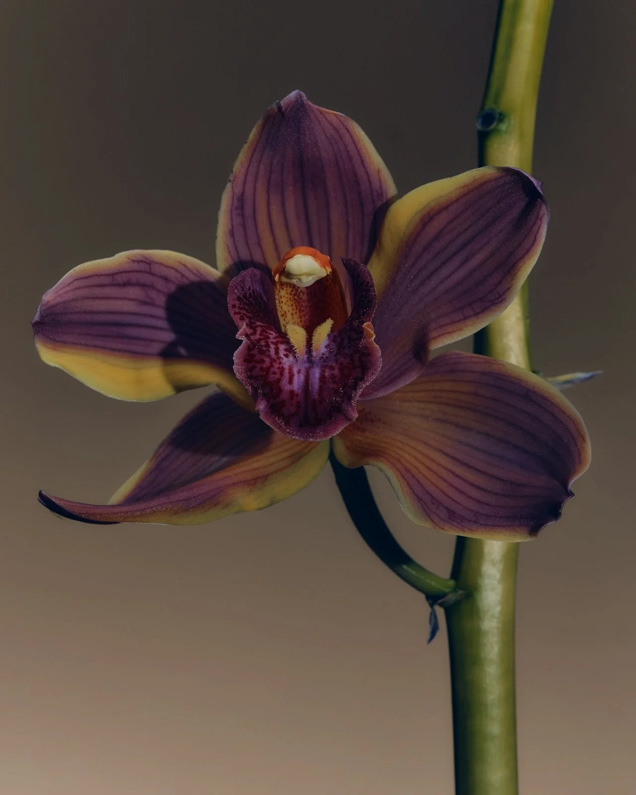 DTS_AURA_Fanette_Guilloud_Photos_ID12985.jpg