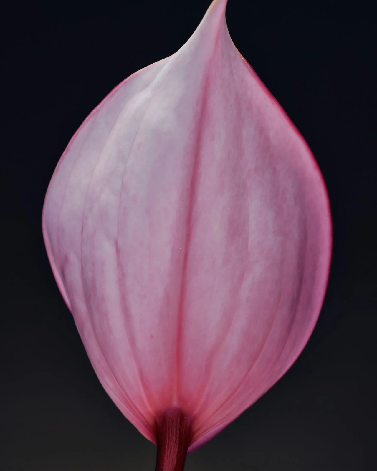 DTS_AURA_Fanette_Guilloud_Photos_ID12990.jpg