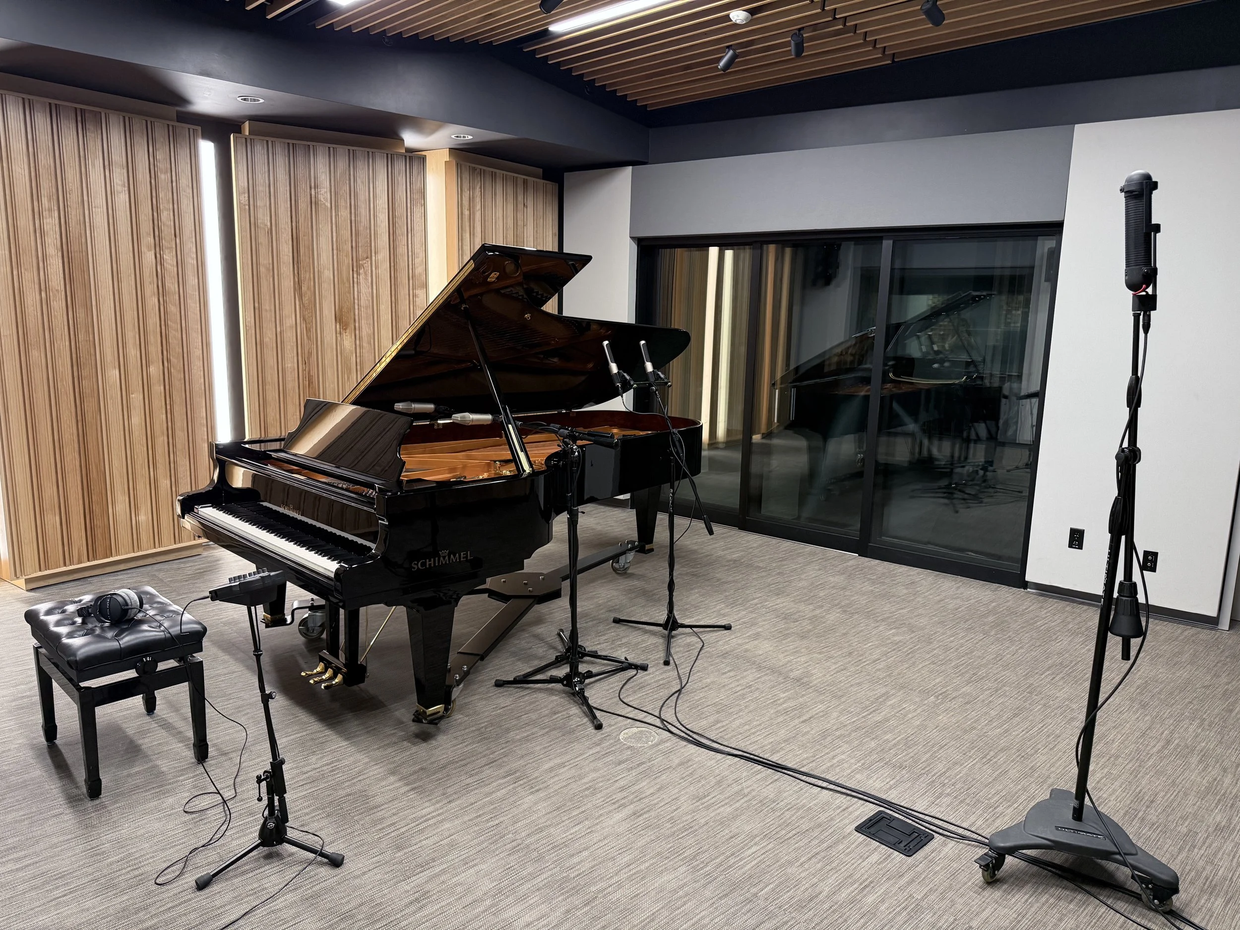 Piano Rig.jpg