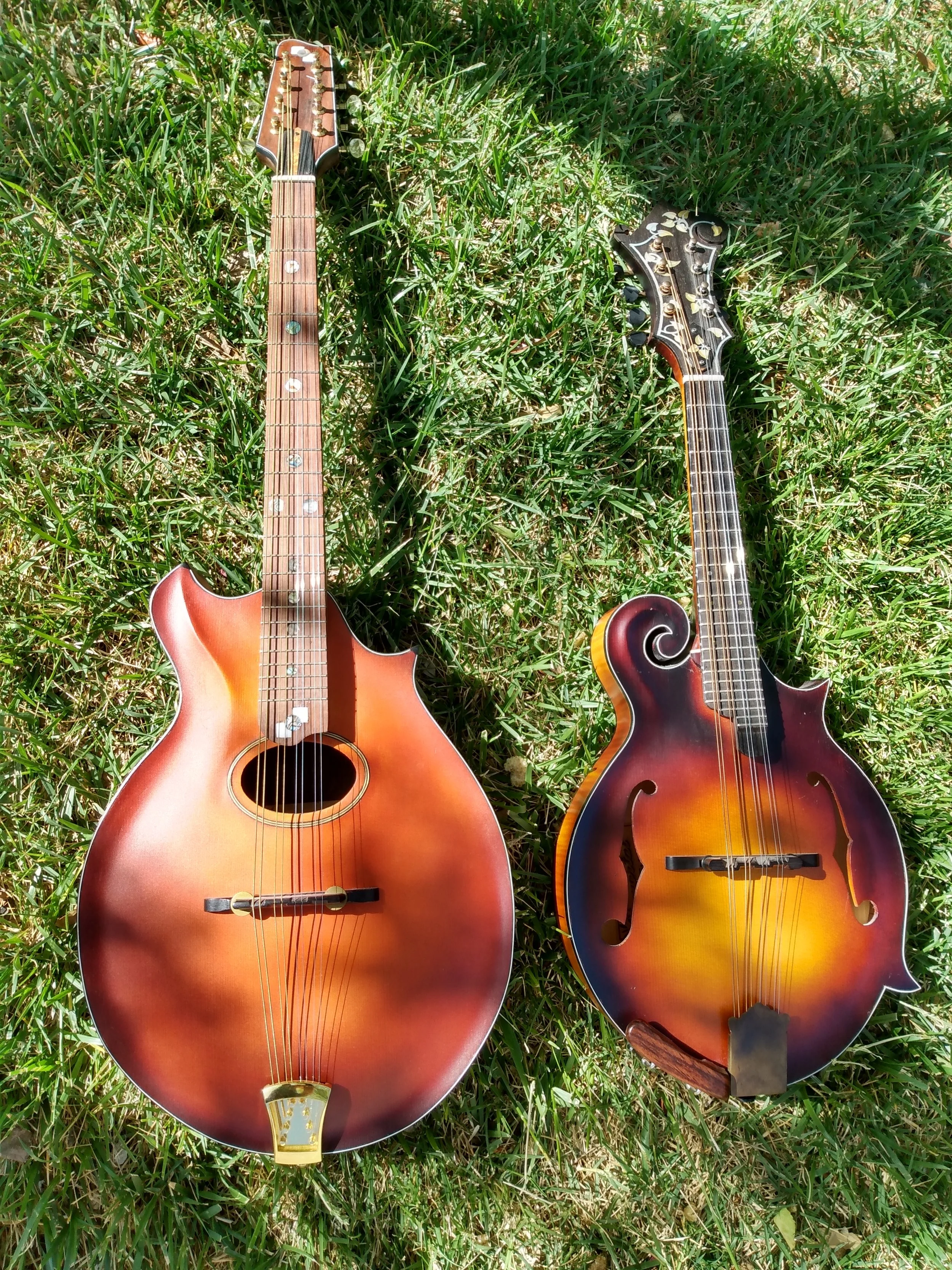 Mandola 