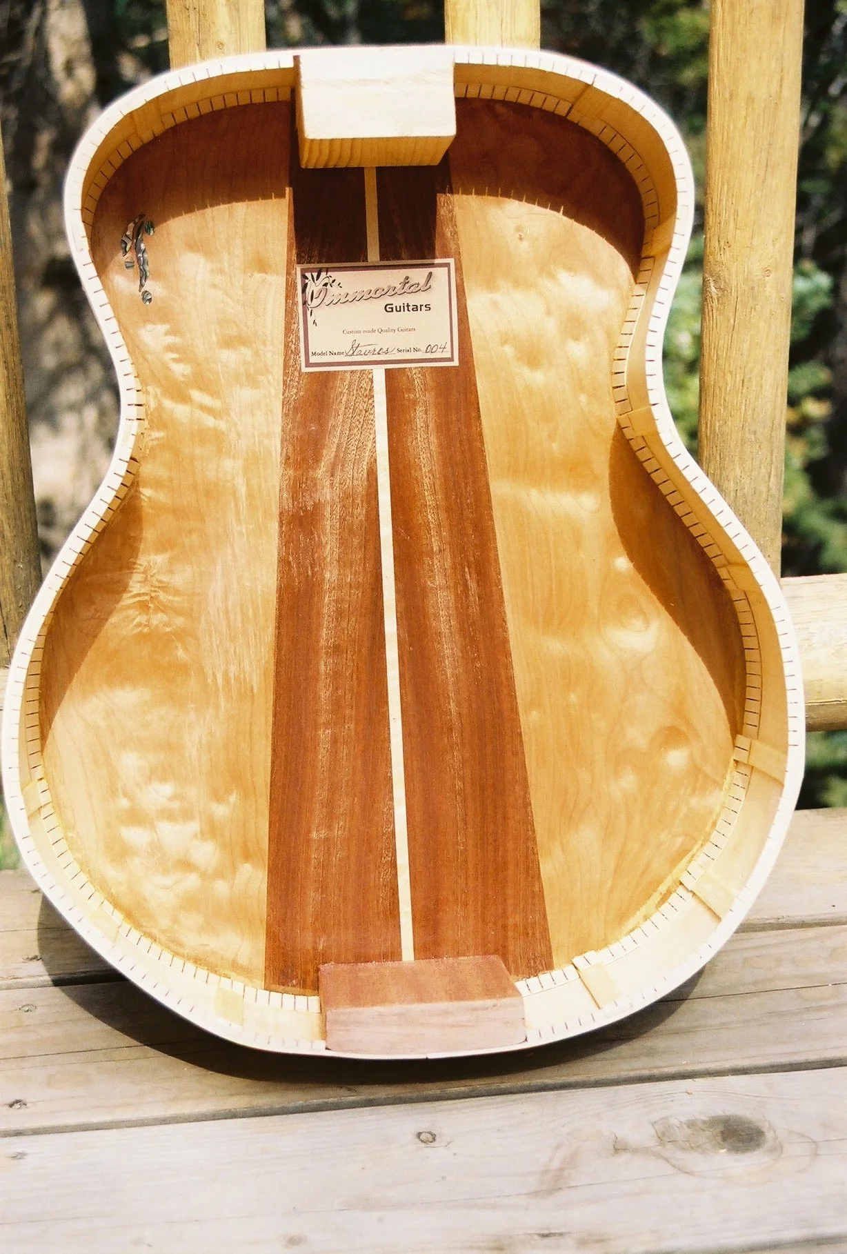 guitar & band photos.jpg