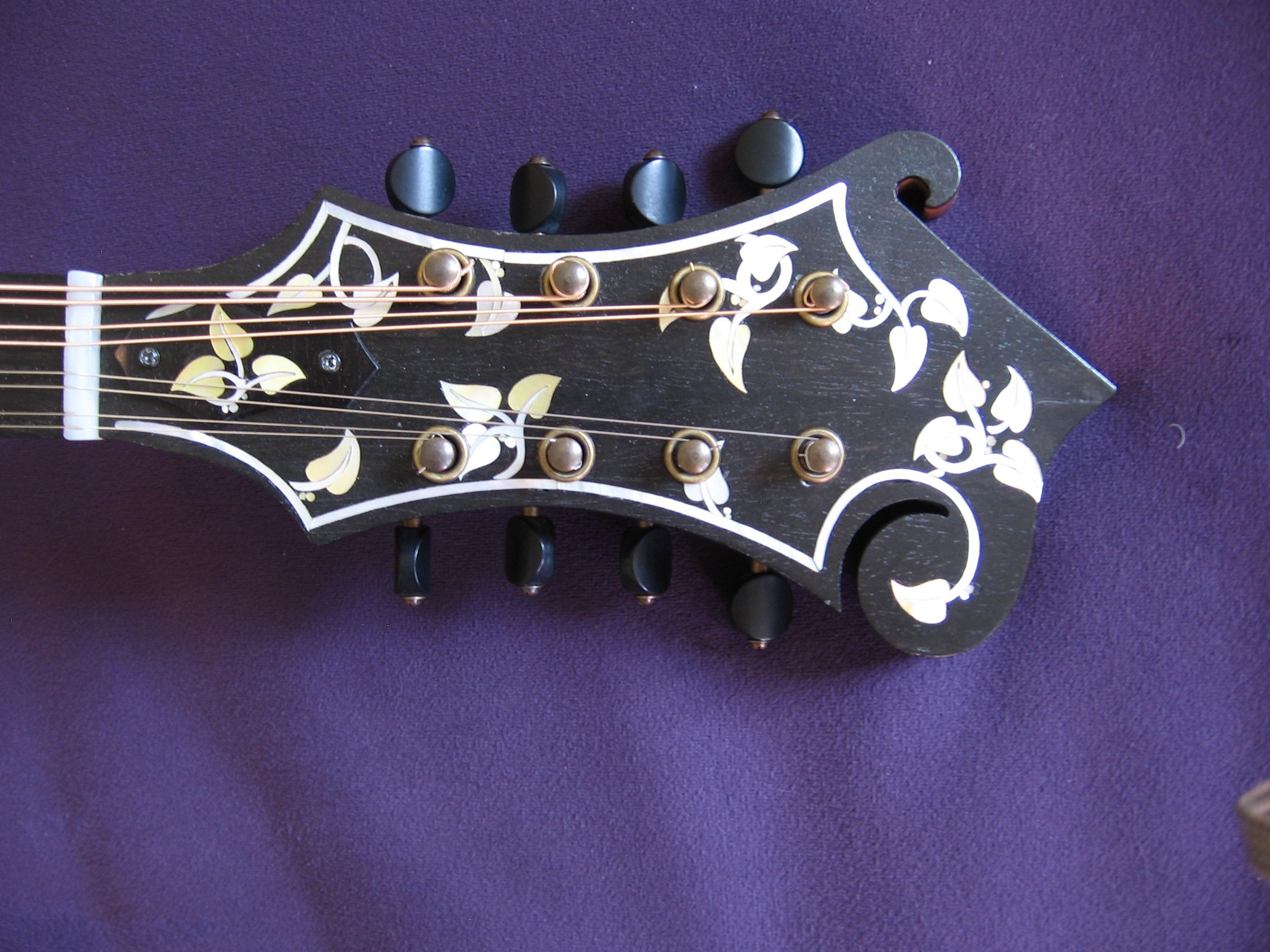Mandolin