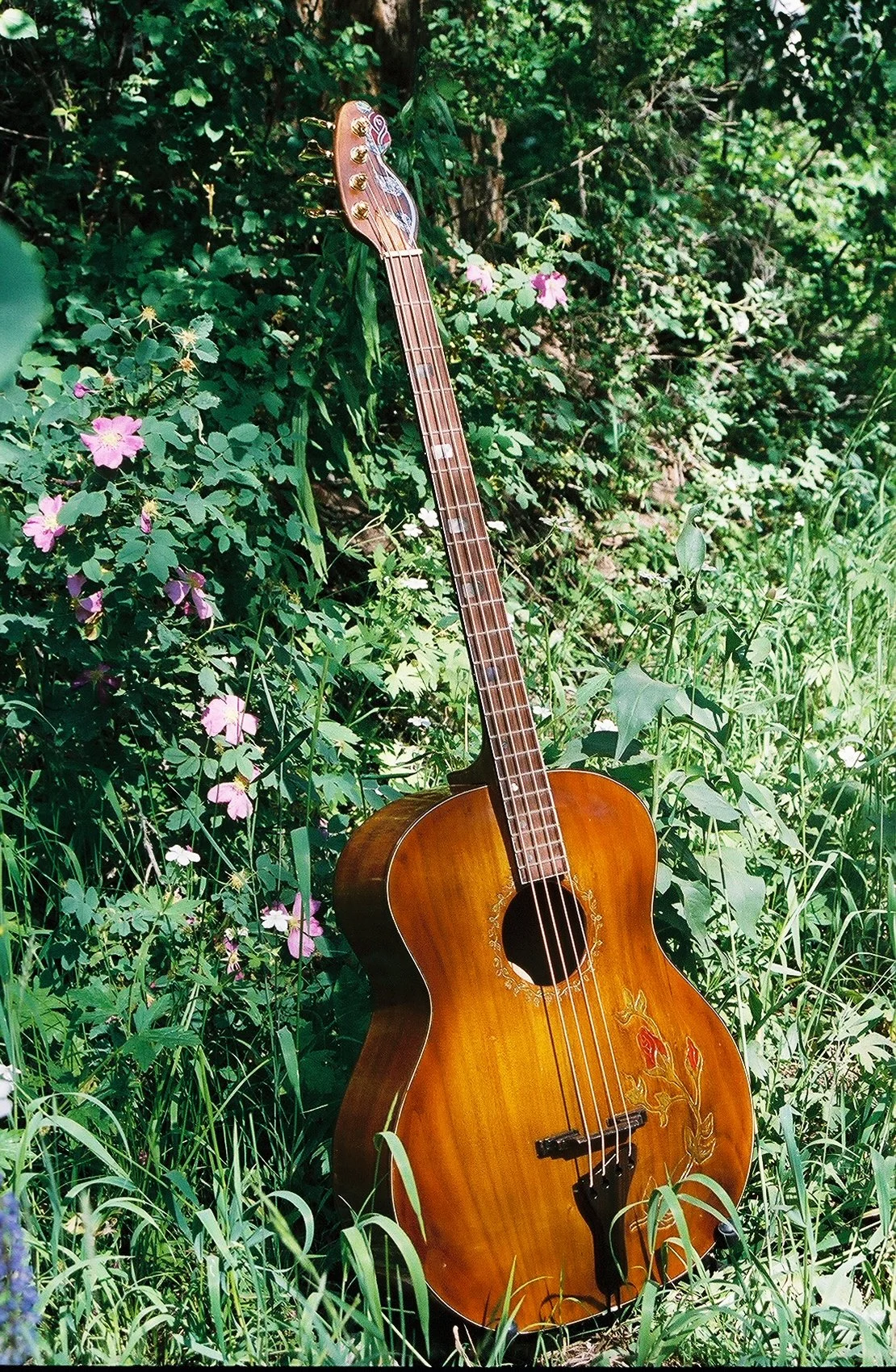 Hand carved mahogany acoustic bass guitar, with rose inlay on body & headstock, tailpiece of ebony. Made by Elaine Moulton, Immortal Guitars. one of a kind