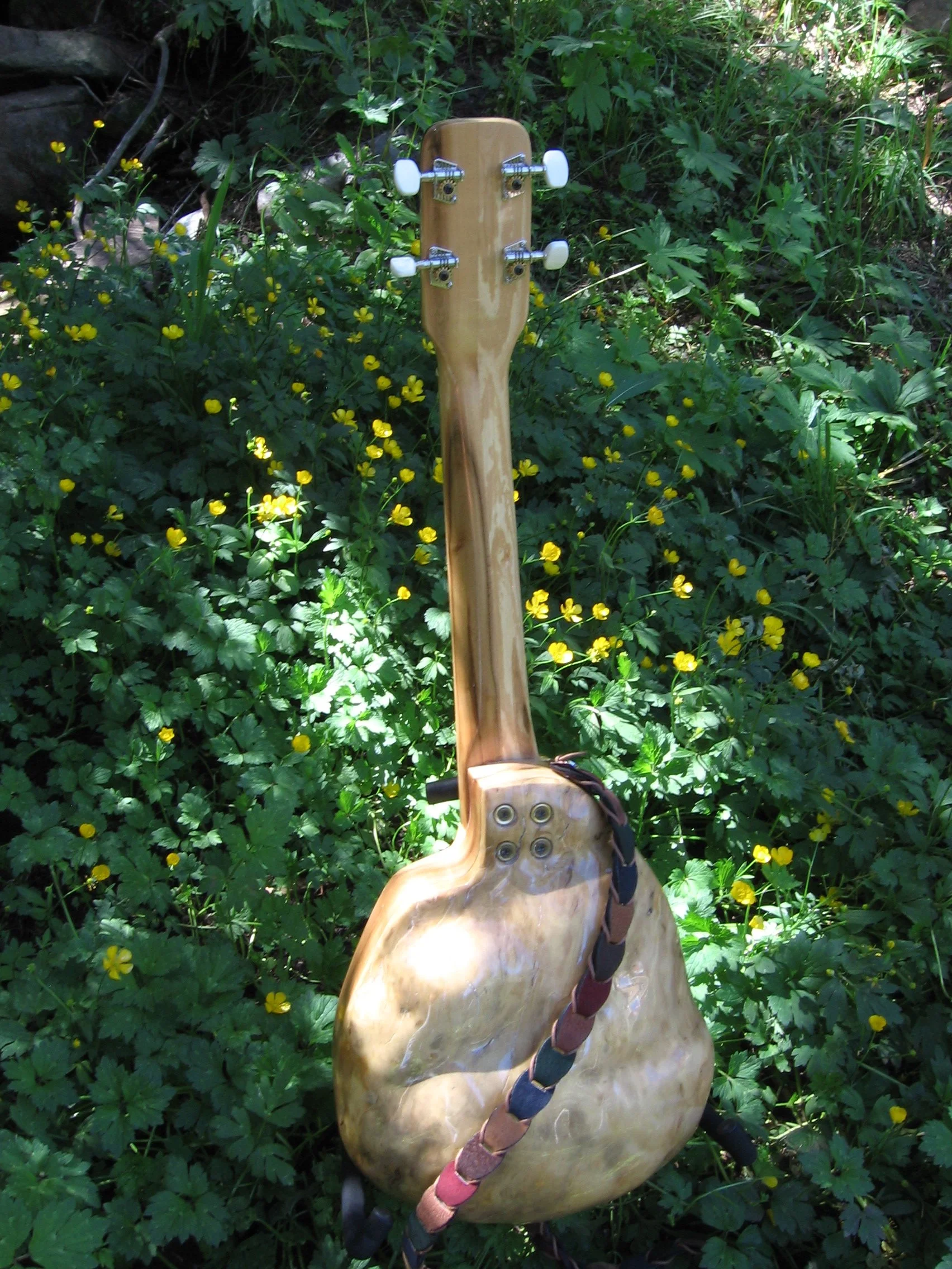 Back side of custom made tenor guitar, made from spruce burl, hand carved by Elaine Moulton, luthier, Immortal Guitars.