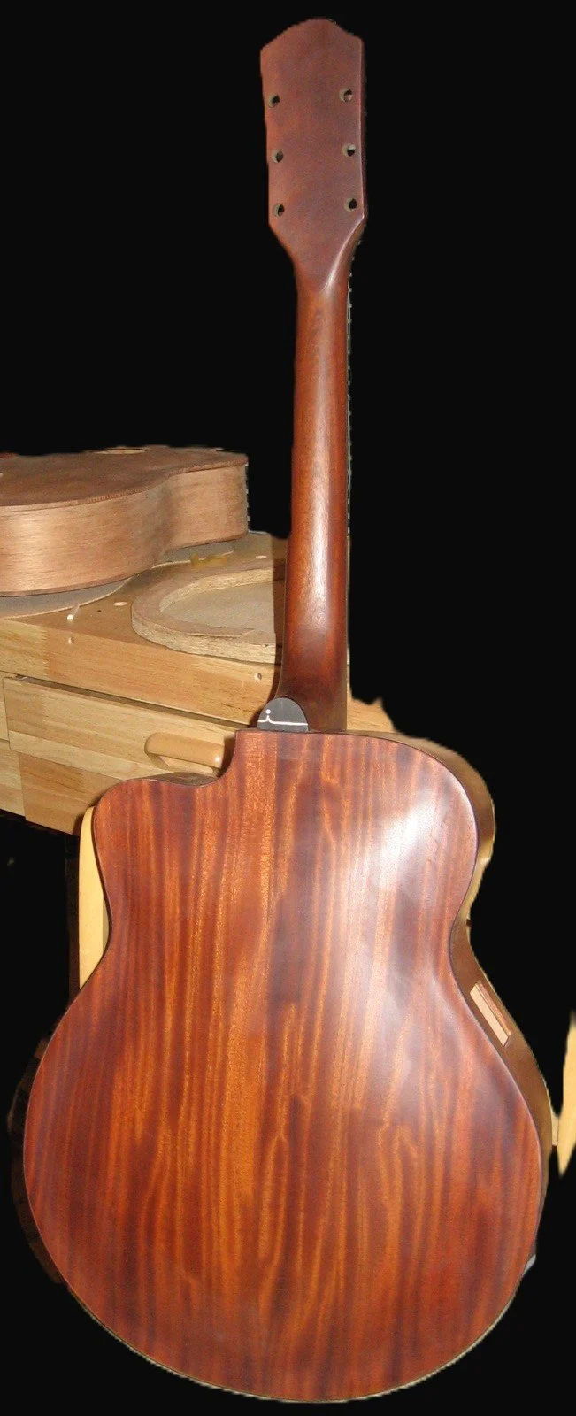 carved archtop, made from exotic wood, custom made by Elaine Moulton at Immortal Guitars, mahogany, top, sides, neck, one of a kind