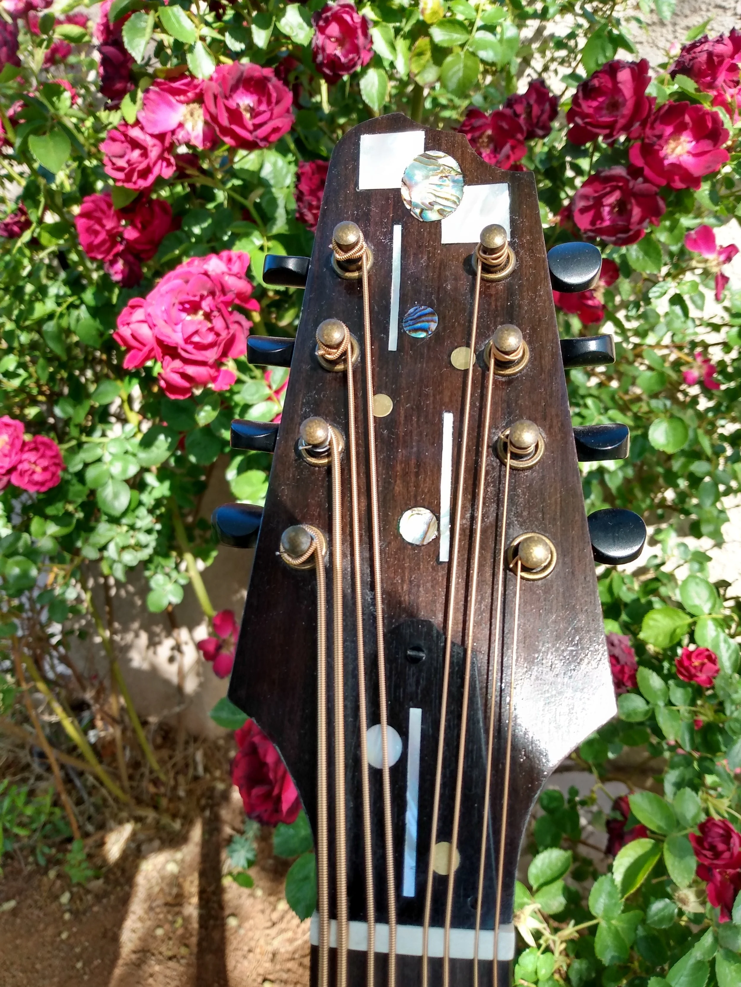 Mandocello