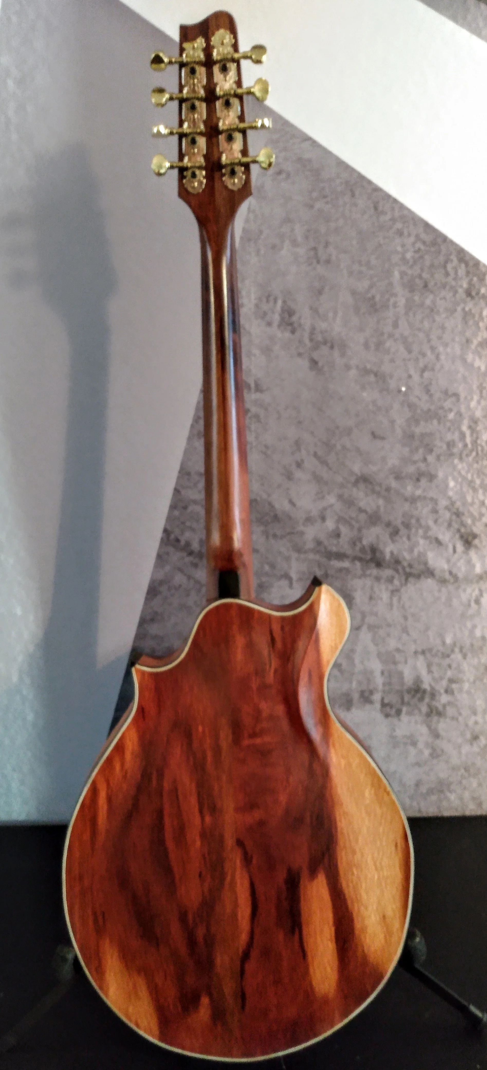 Mandola back (2).jpg