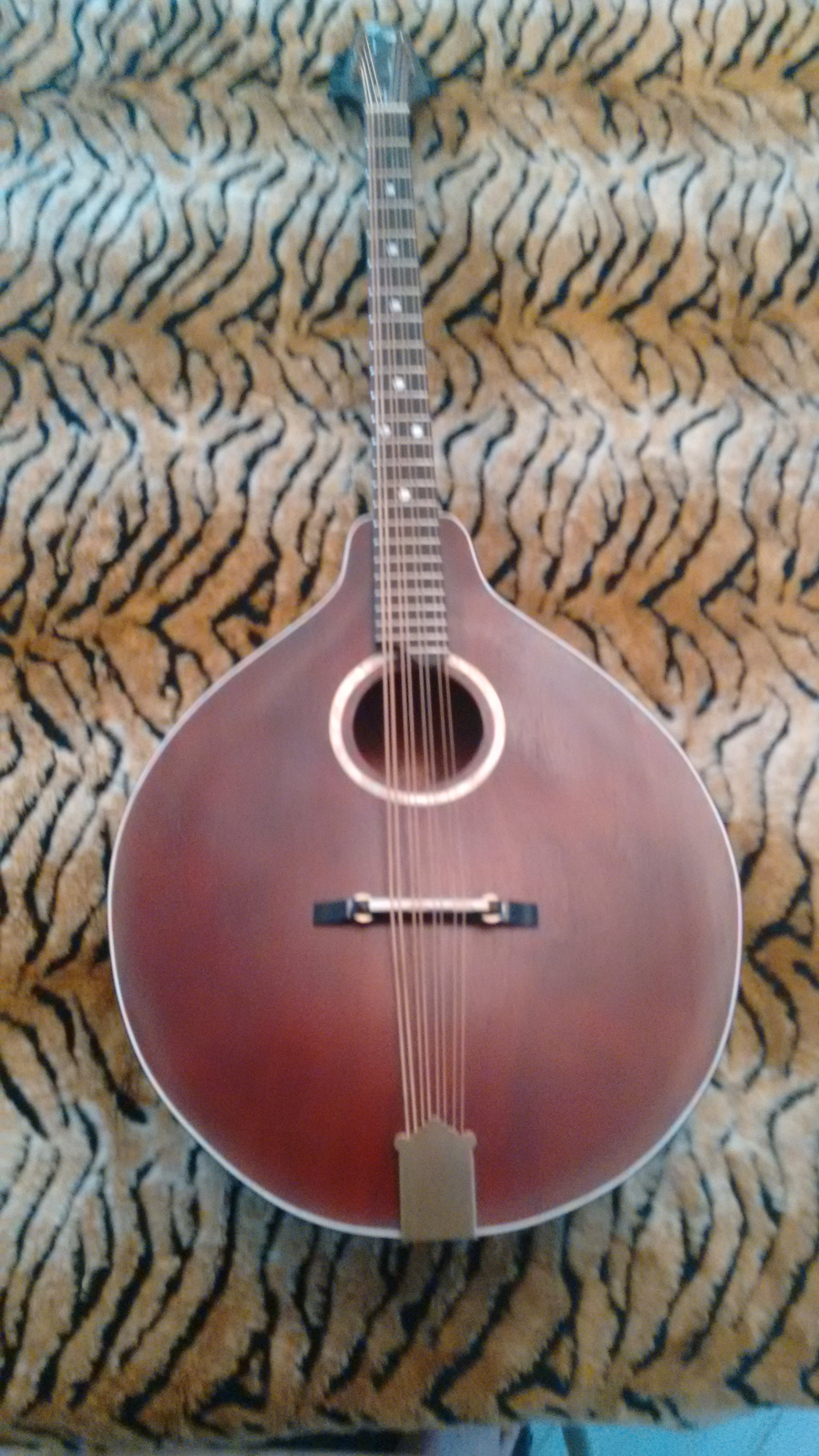 mandocello red mahogany2.jpg