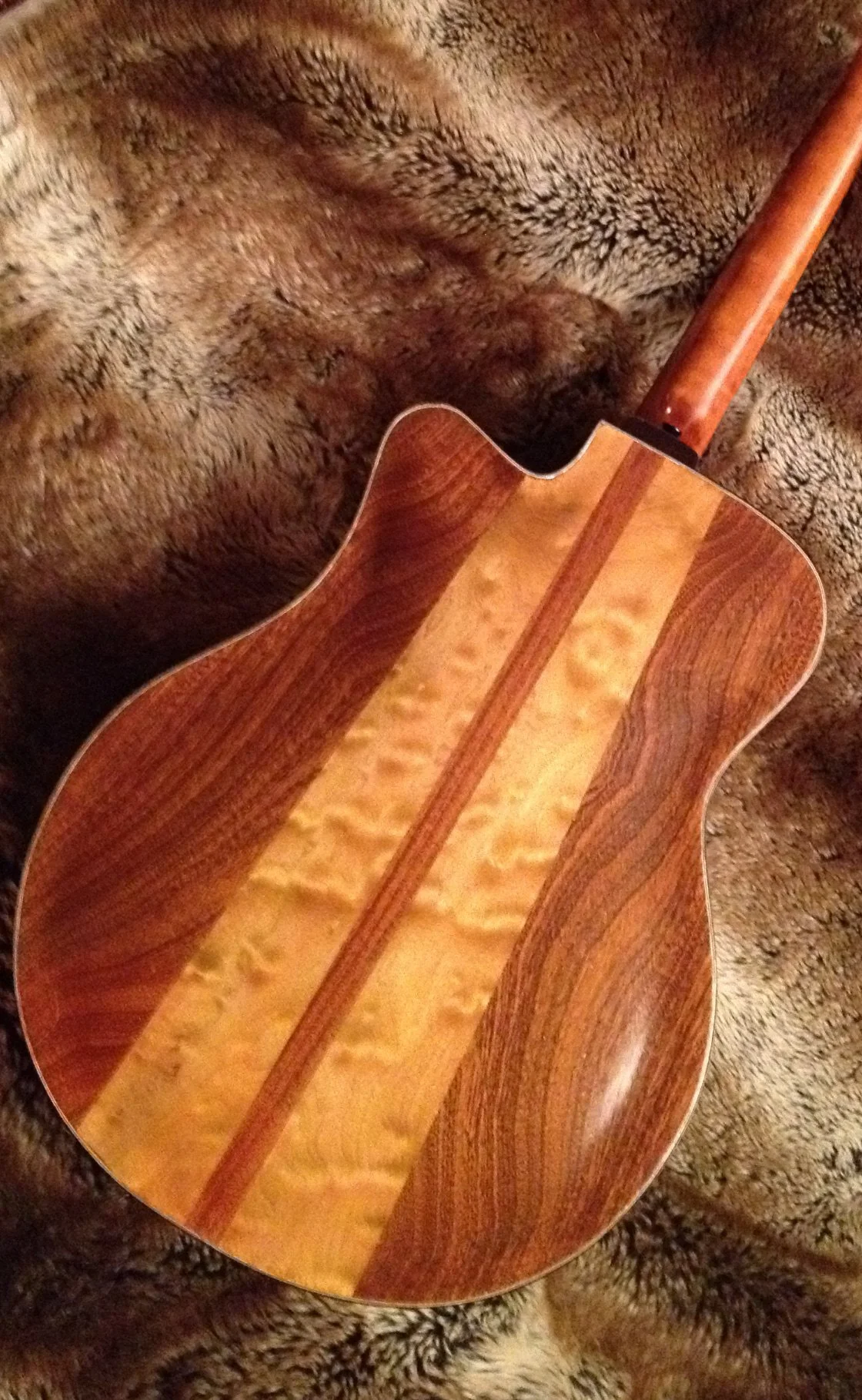 Hand carved acoustic archtop back view. AAAAmaple and sapele wood. Made by Elaine Moulton, luthier at Immortal Guitars